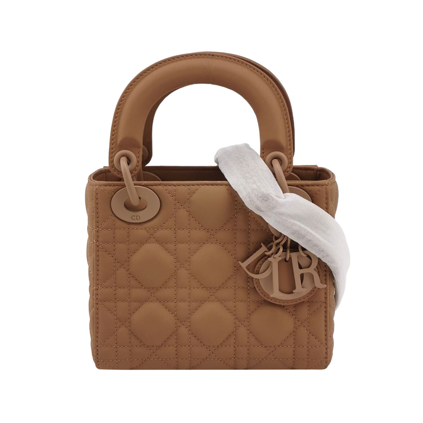 Lady Diorlogocrossbody Bag