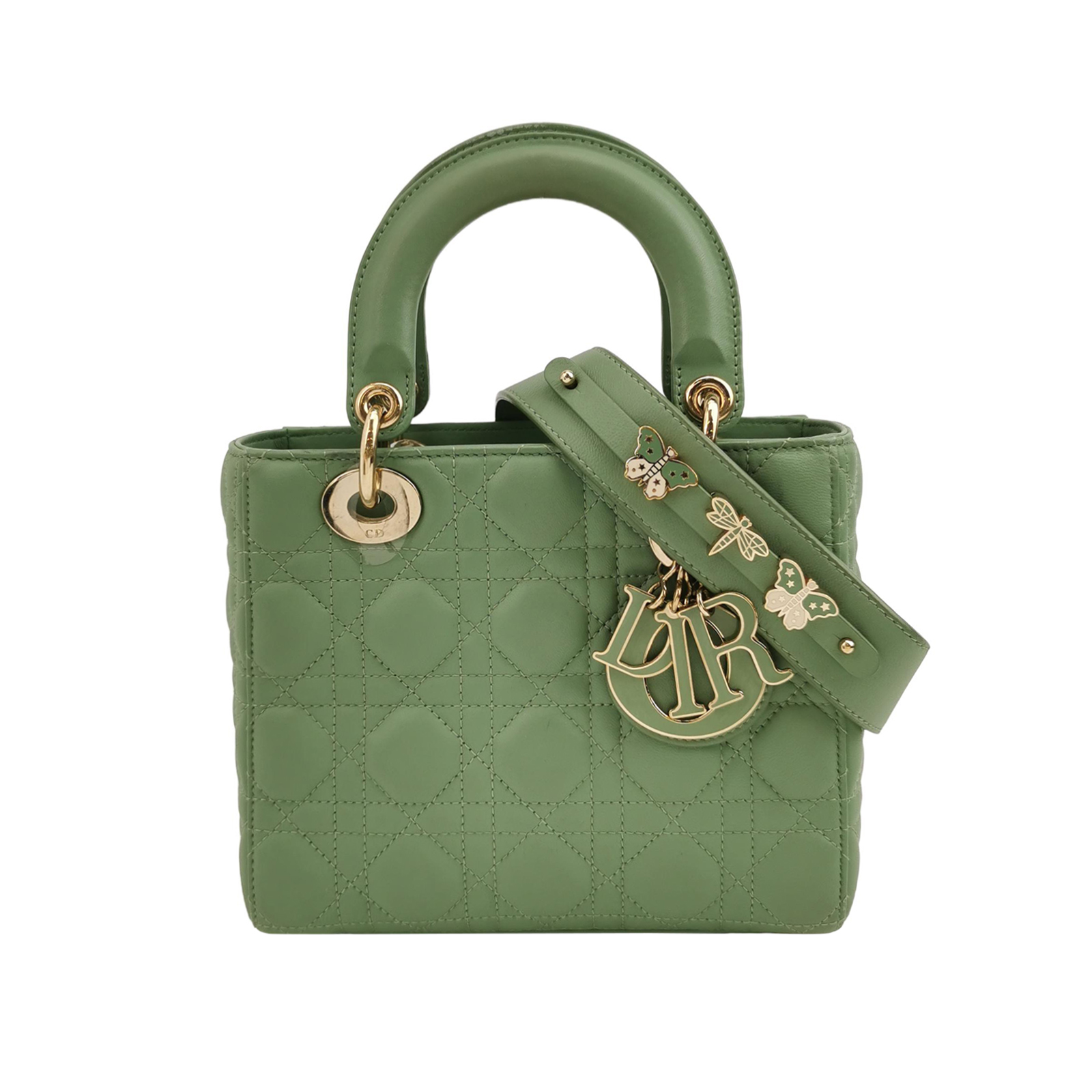 Lady Diorlogocrossbody Bag