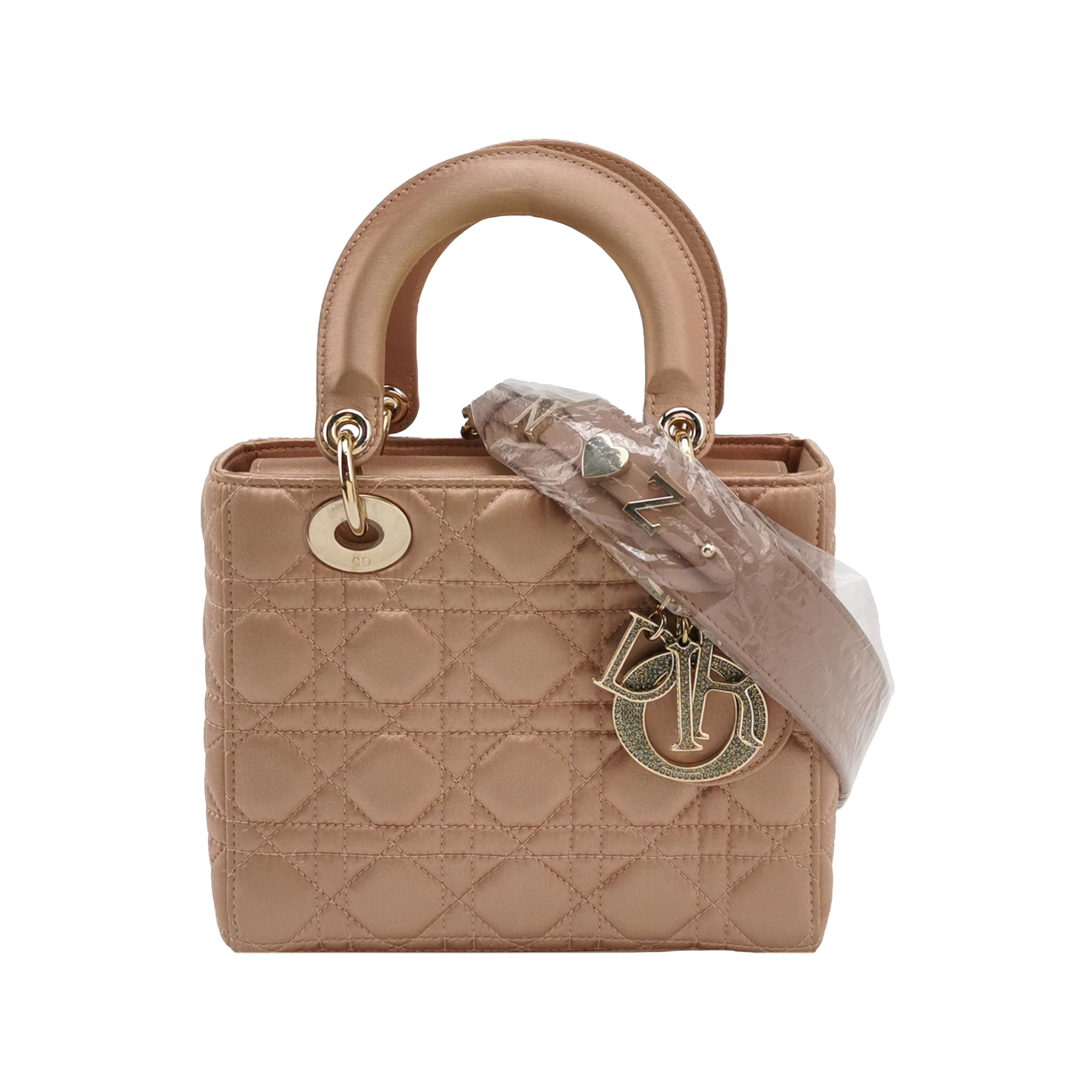 Lady Diorlogocrossbody Bag