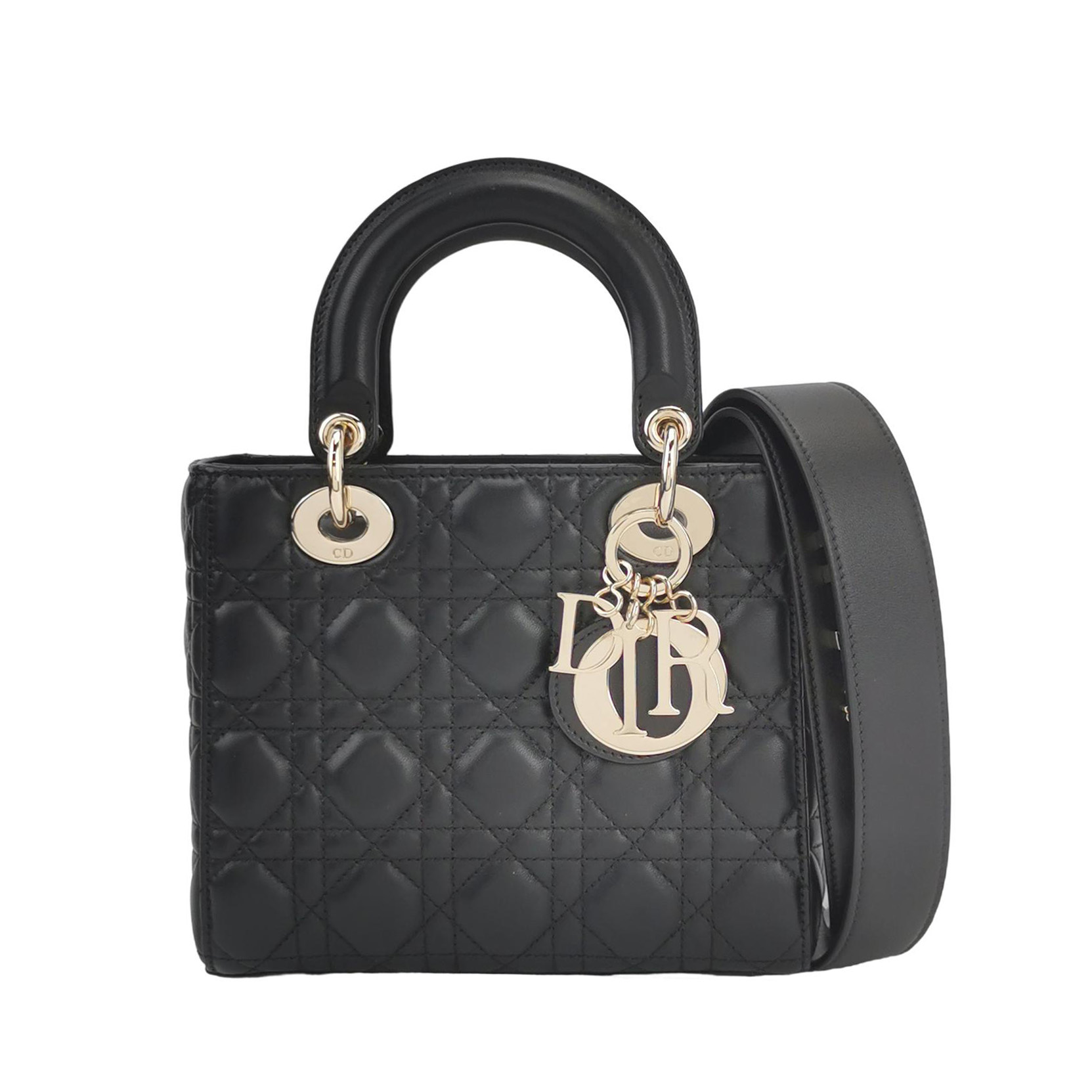 Lady Diorlogocrossbody Bag