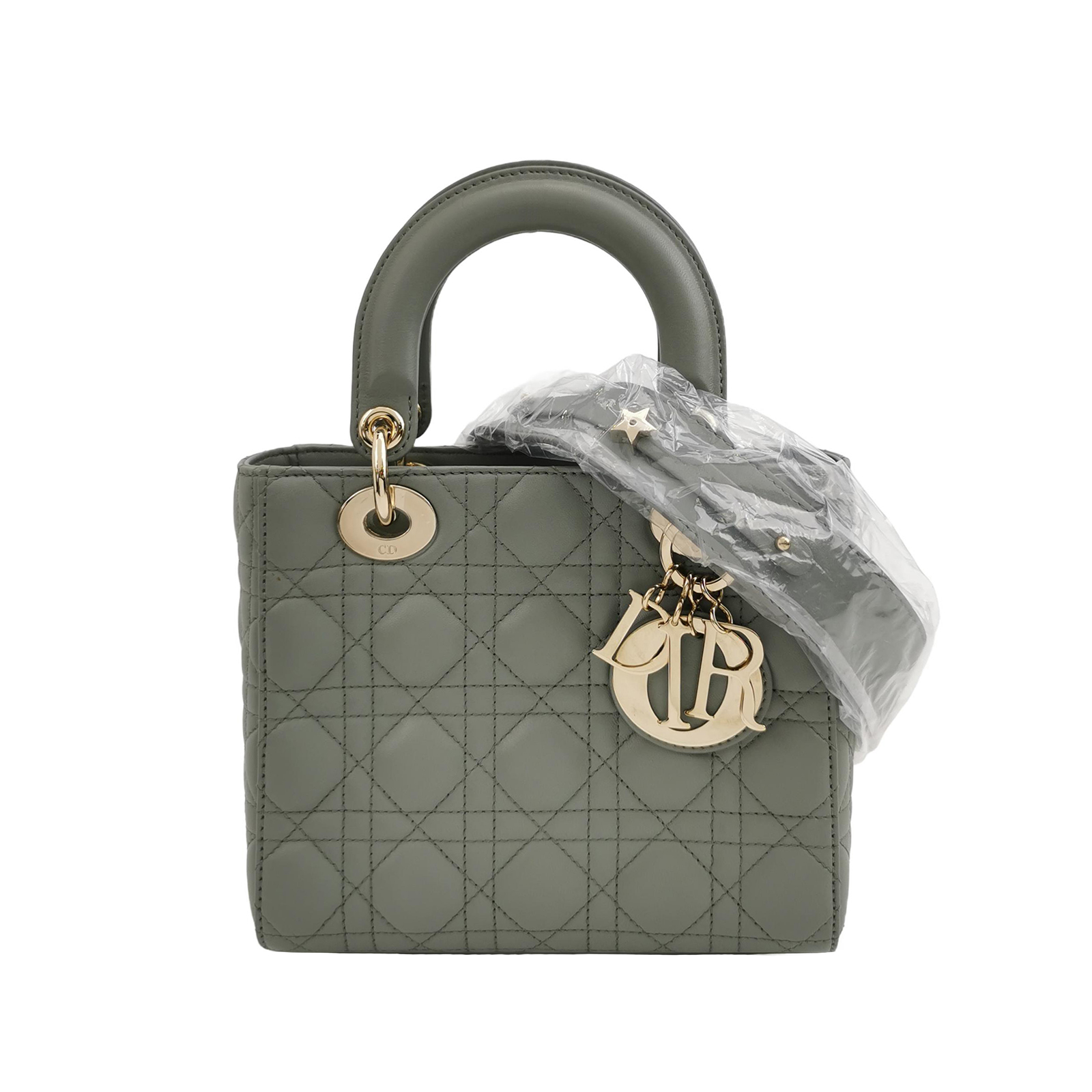 Lady Diorlogocrossbody Bag