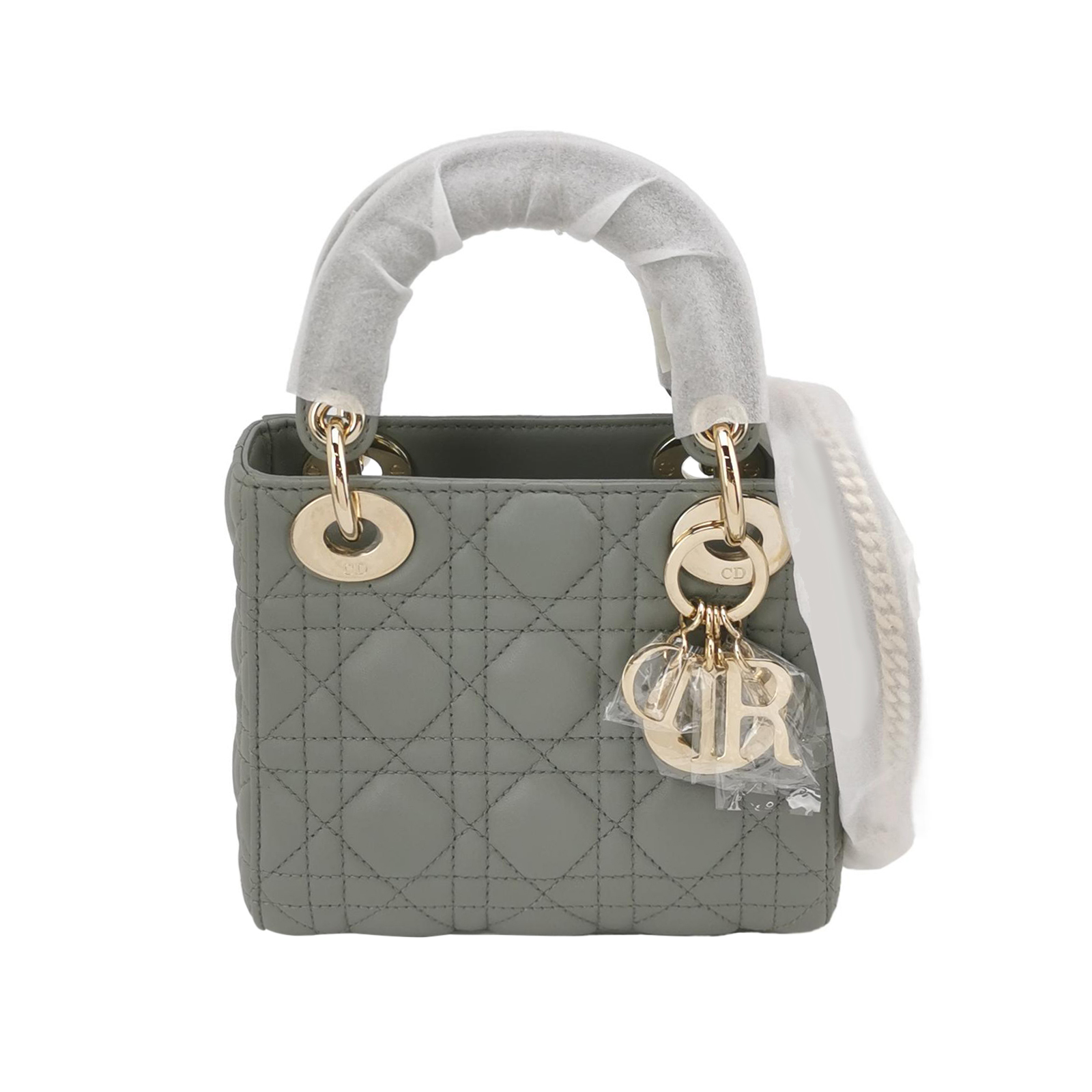 Lady Diorlogocrossbody Bag