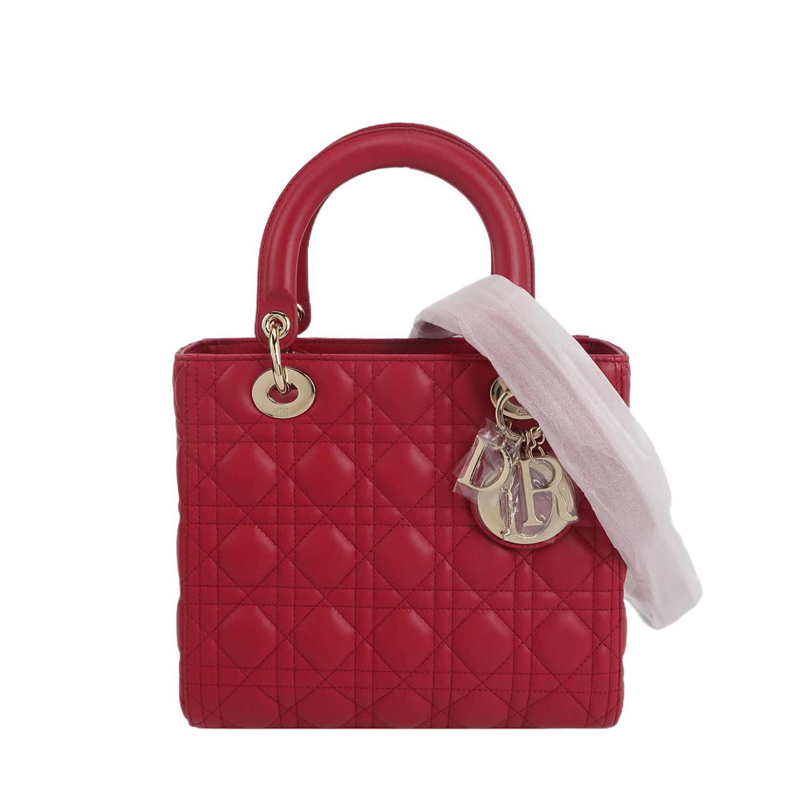 Lady Diorlogohandbag
