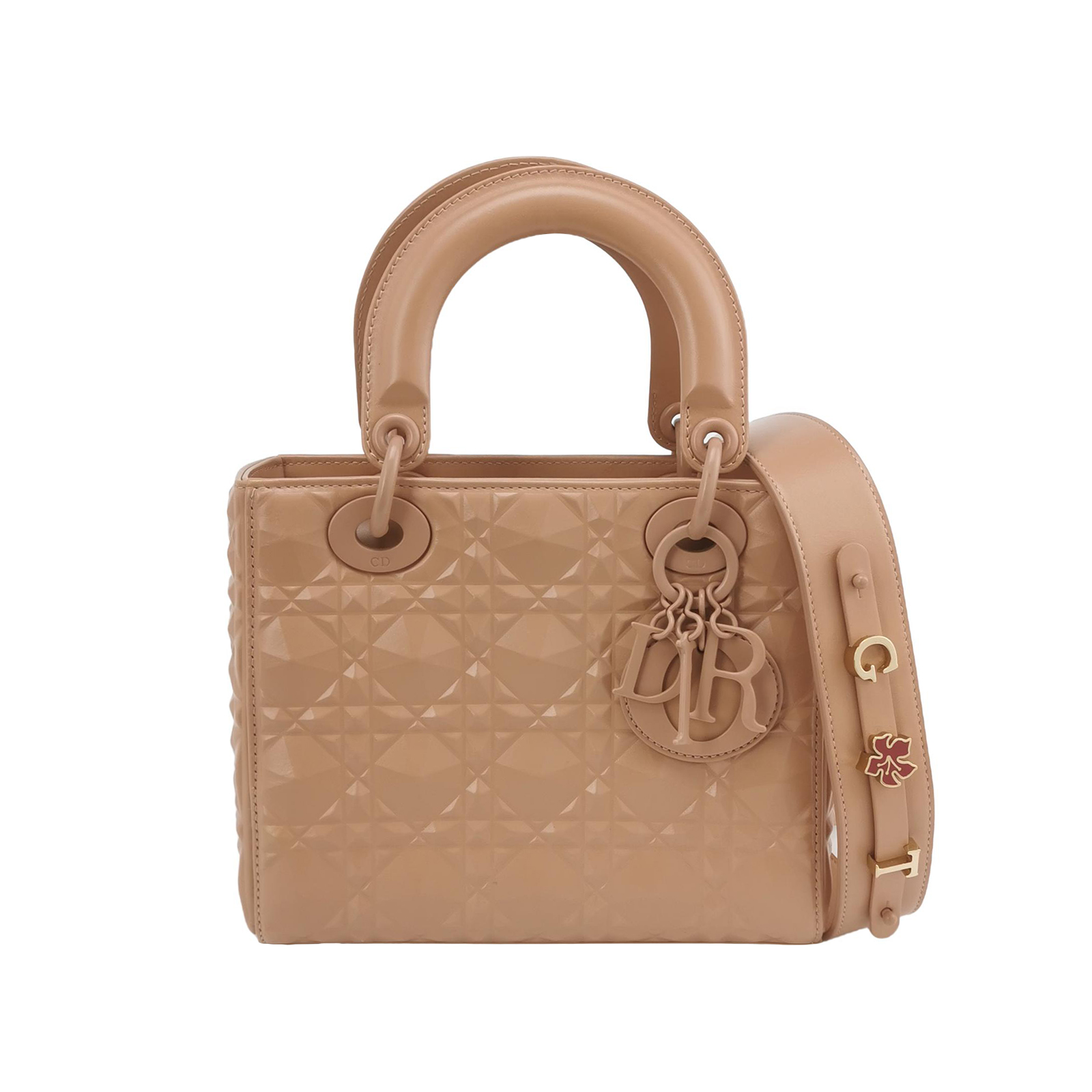 Lady Diorlogocrossbody Bag
