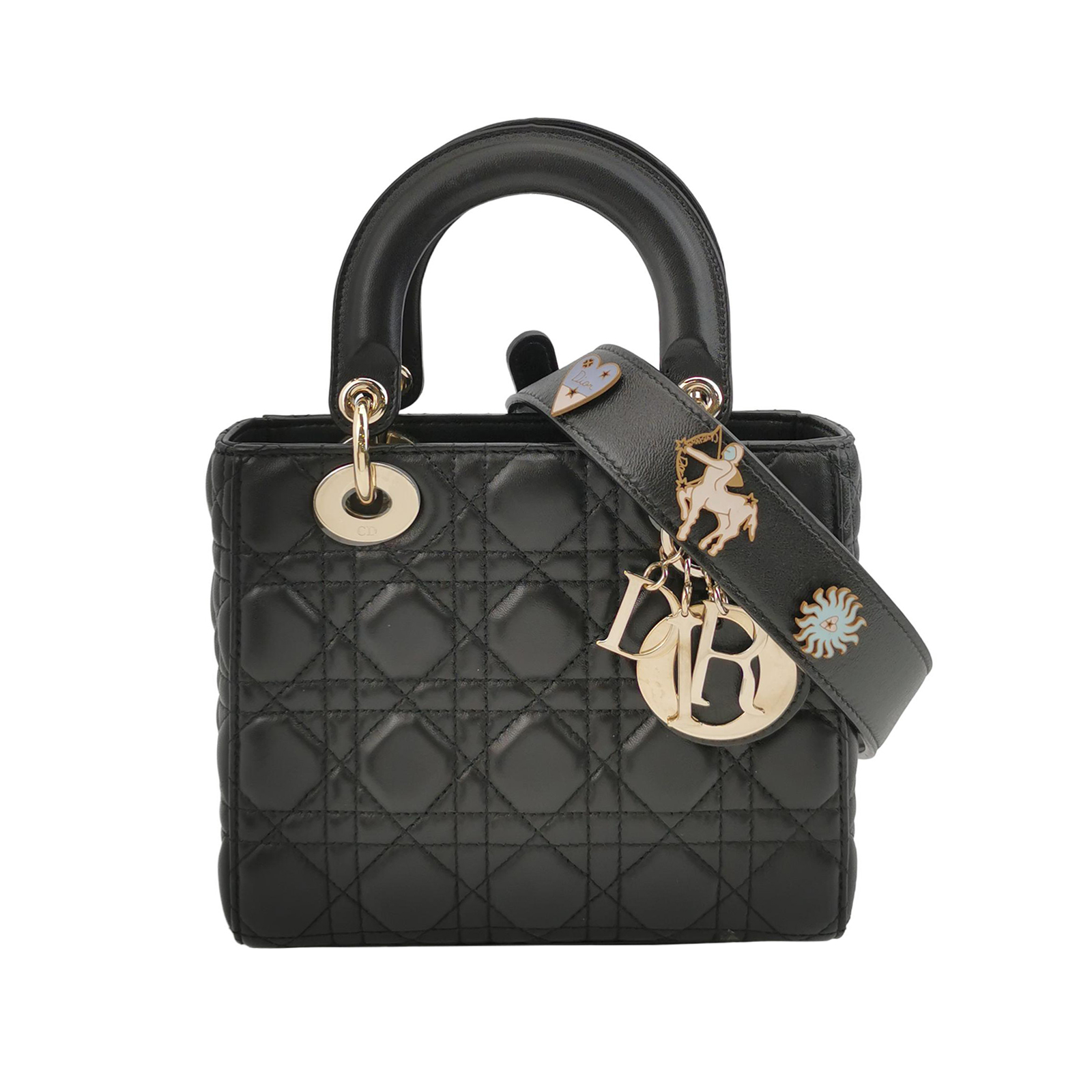 Lady Diorlogocrossbody Bag