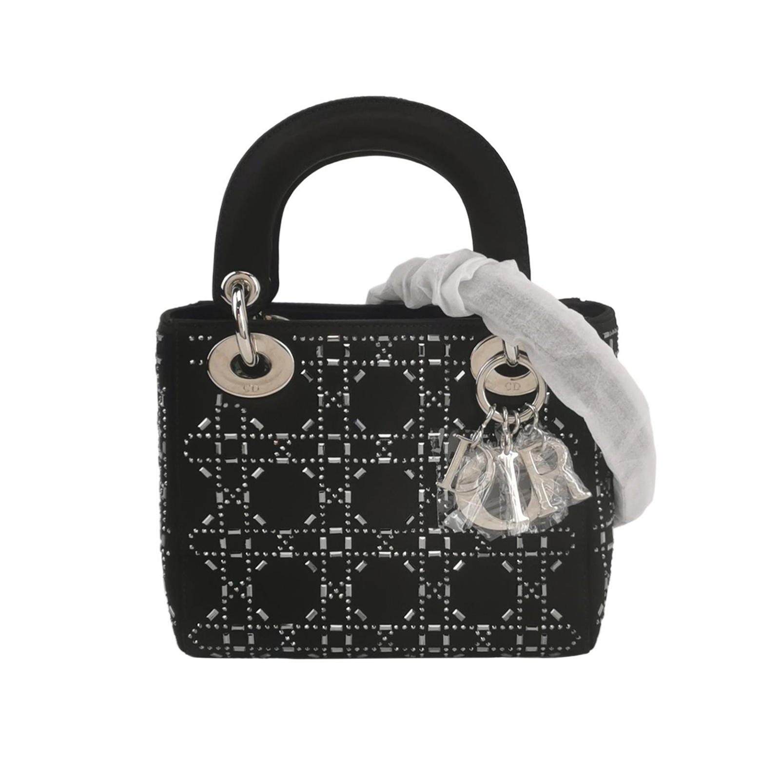 Lady Diorlogocrossbody Bag