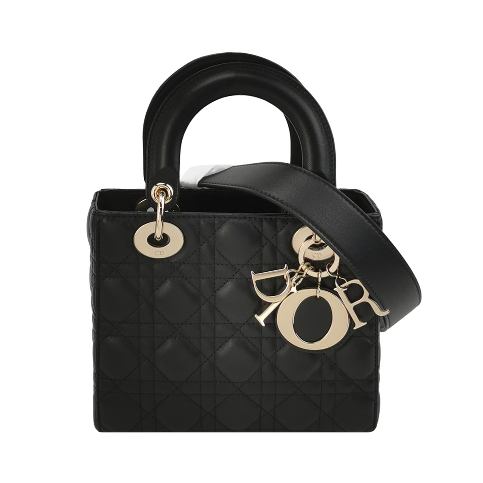 Lady Diorlogocrossbody Bag