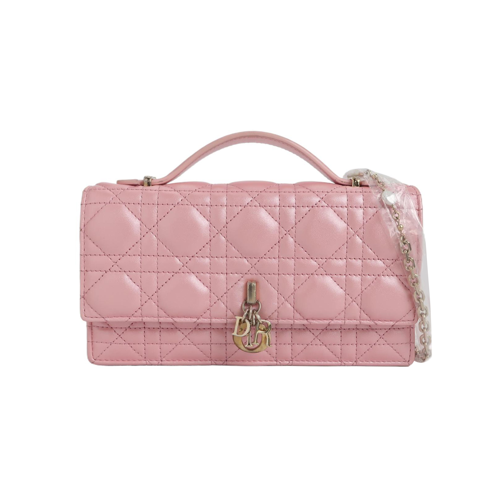 Lady Diorlogocrossbody Bag