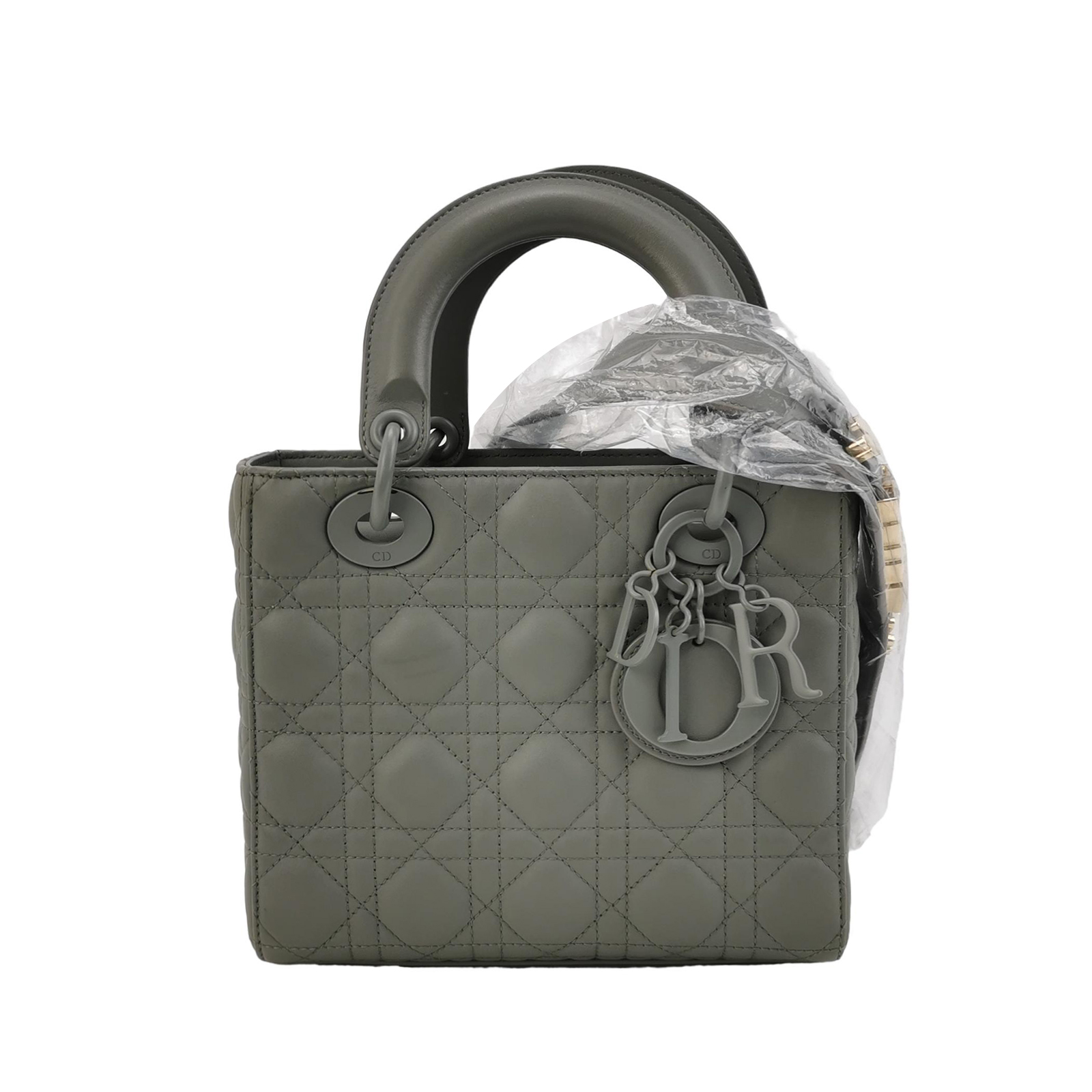 Lady Diorlogocrossbody Bag