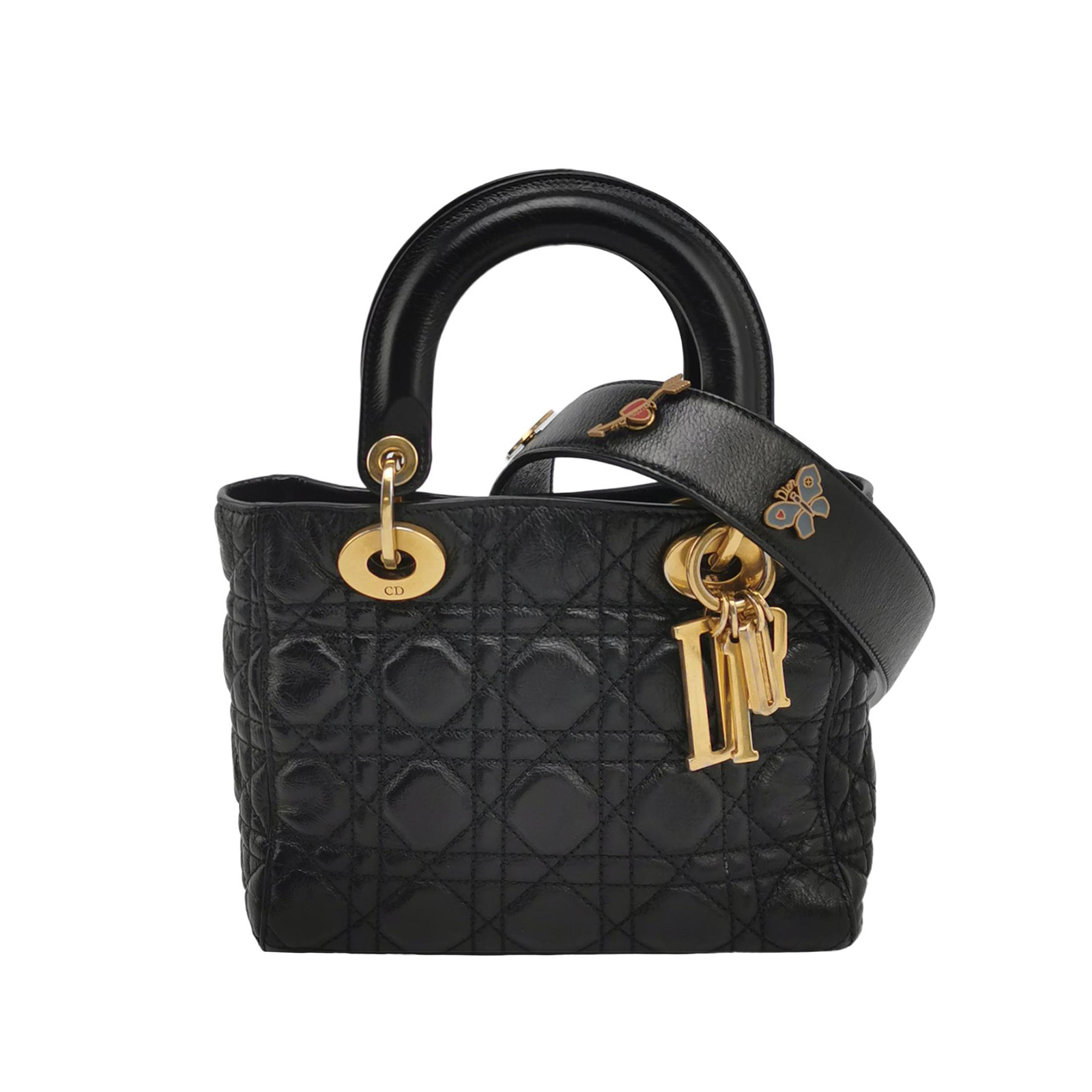 Lady Diorlogocrossbody Bag