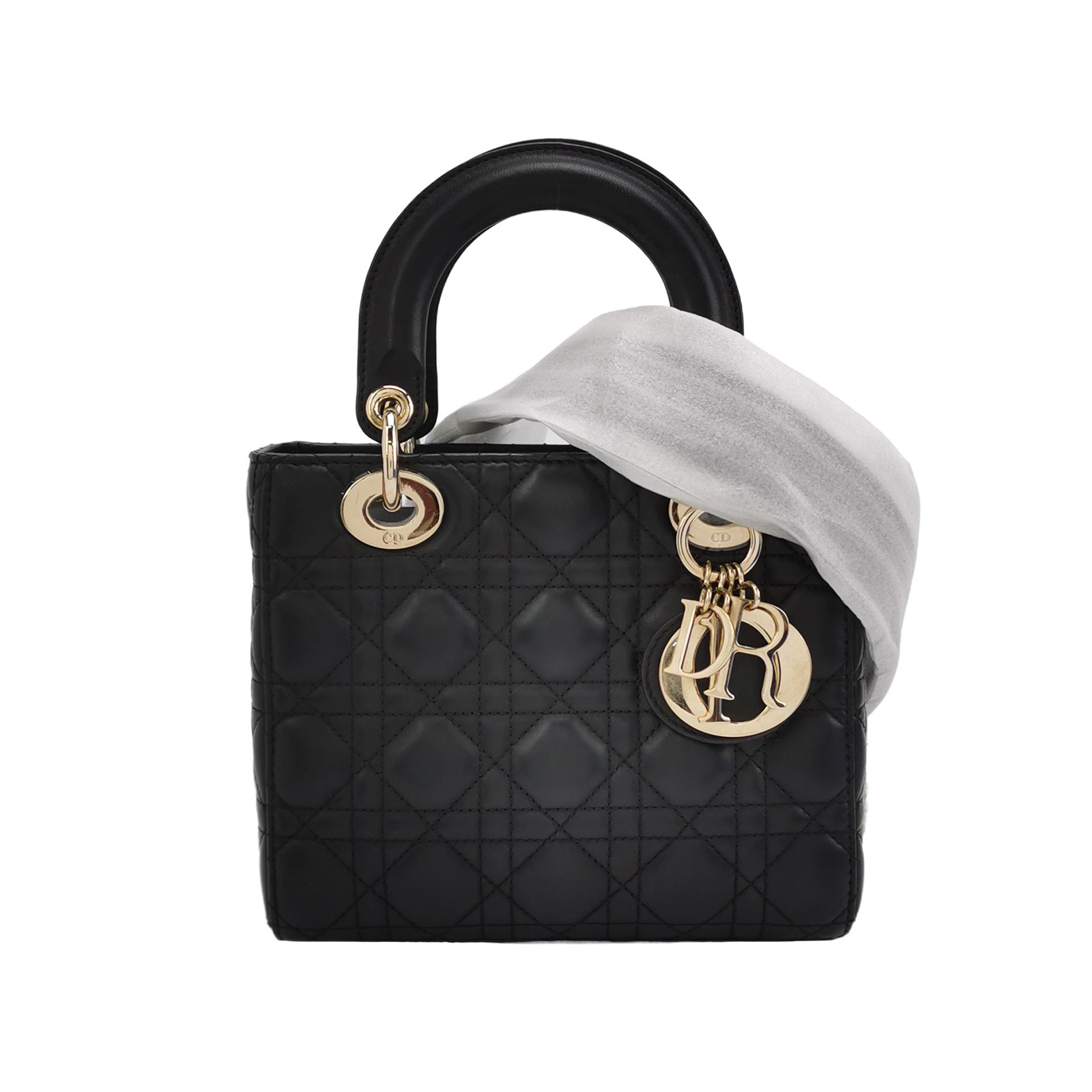 Lady Diorlogocrossbody Bag