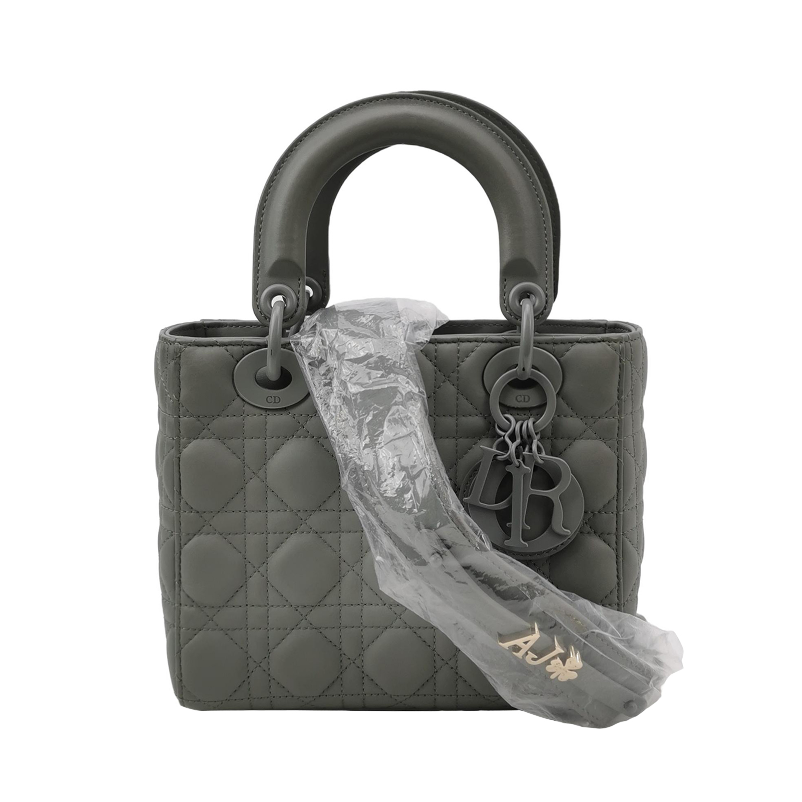 Lady Diorlogocrossbody Bag