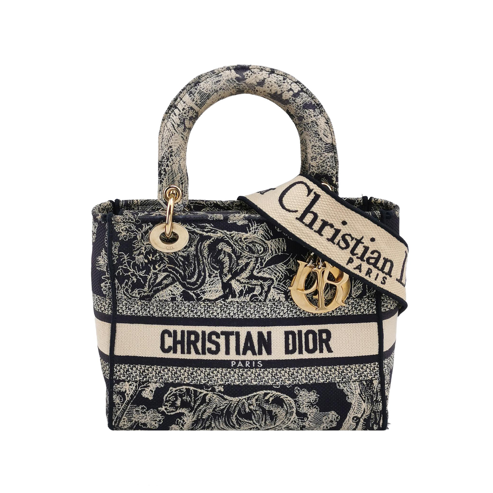 Lady Diorlogocrossbody Bag