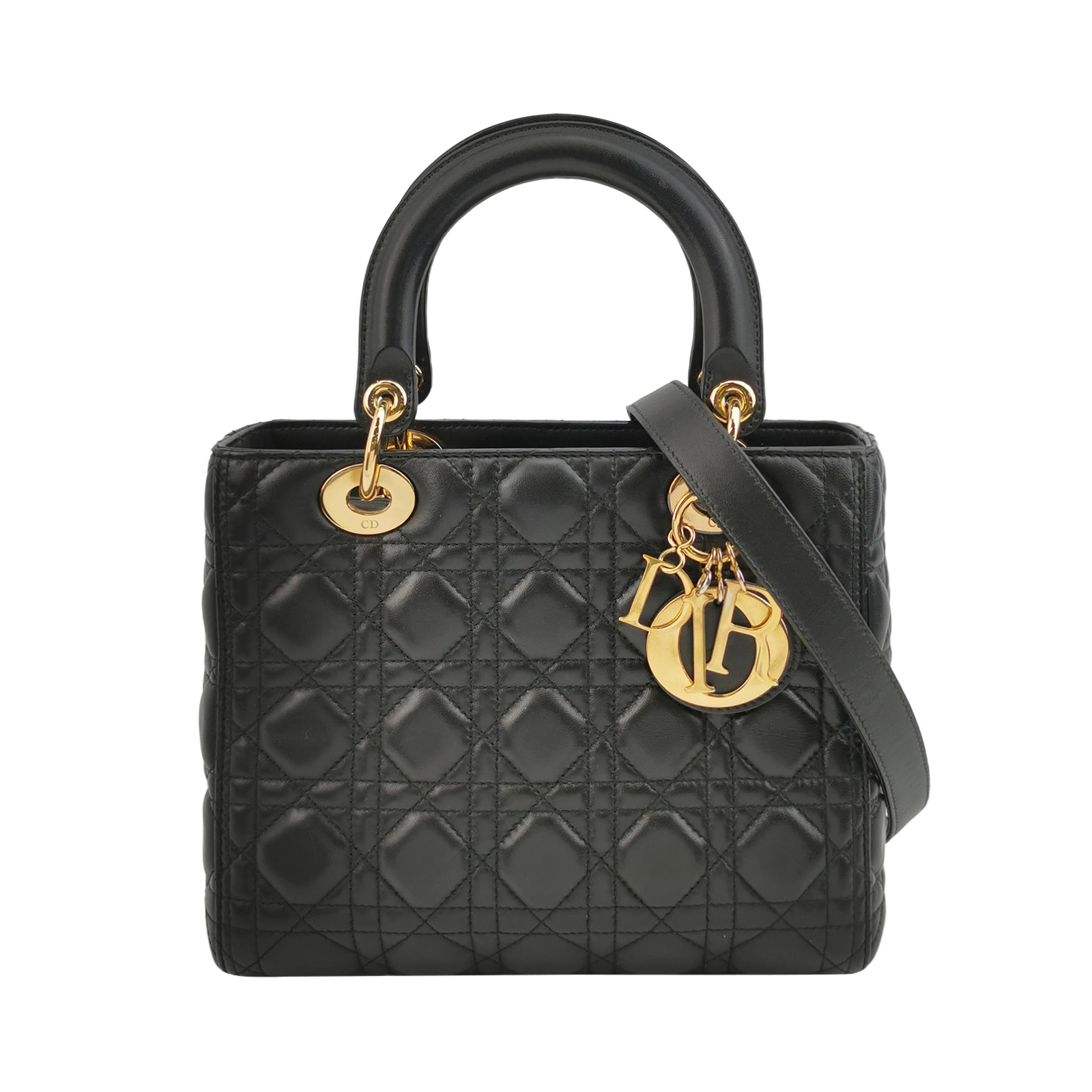 Lady Diorlogocrossbody Bag