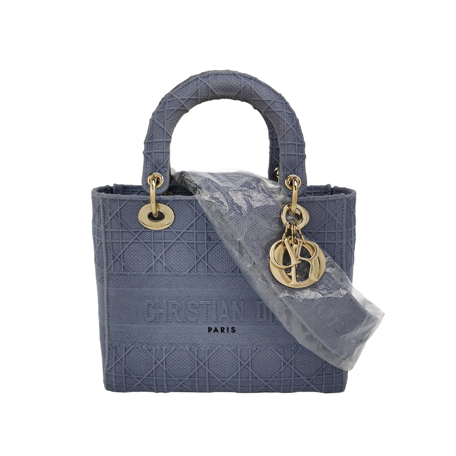 Lady Diorlogocrossbody Bag