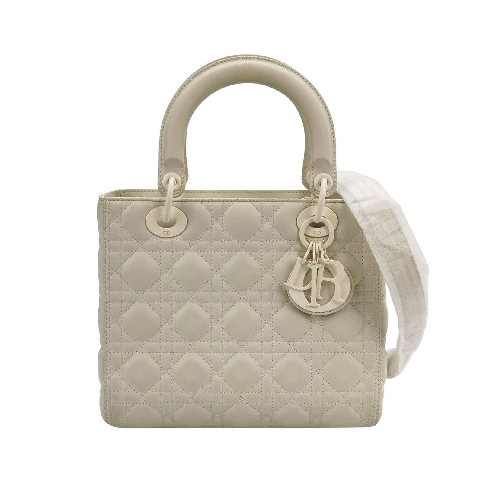 Lady Diorlogocrossbody Bag