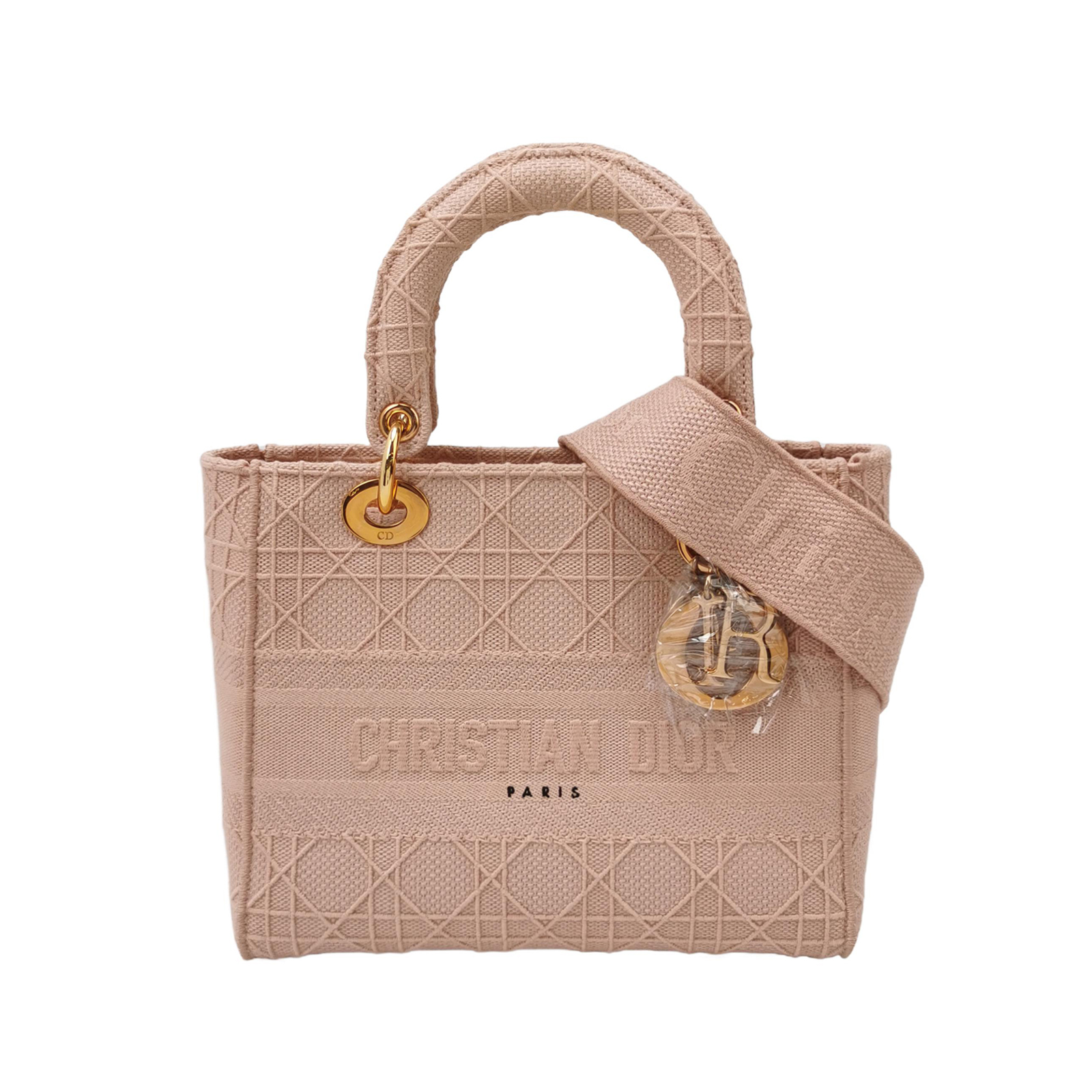 Lady Diorlogocrossbody Bag