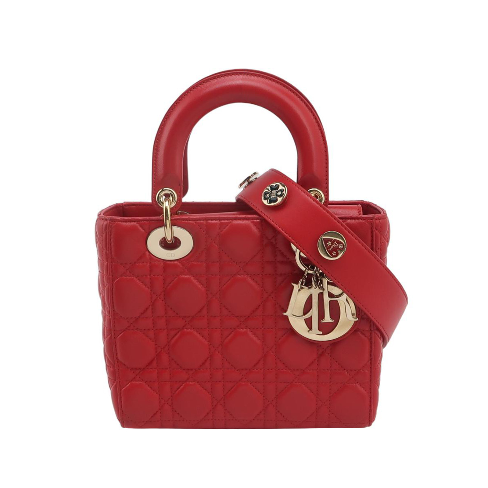 Lady Diorlogocrossbody Bag