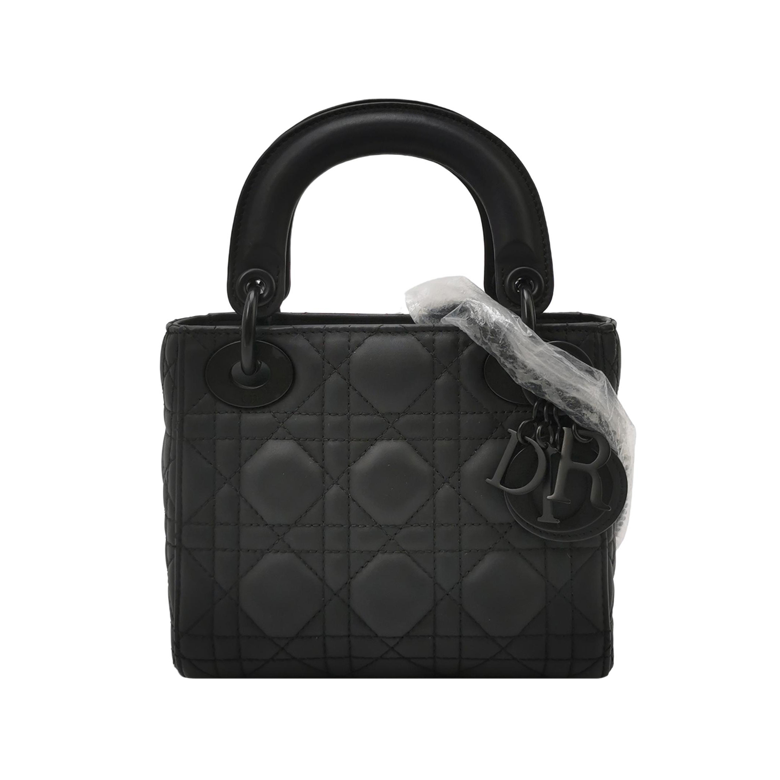 Lady Diorlogocrossbody Bag