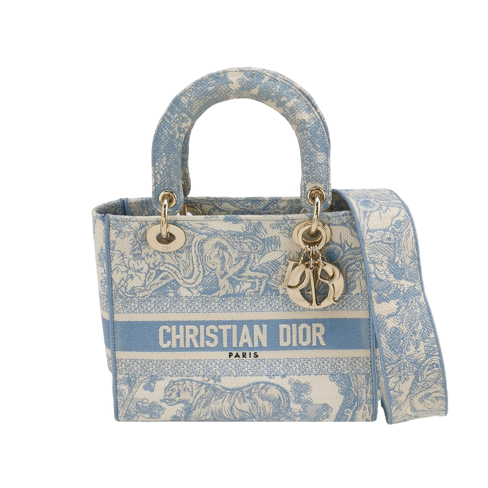 Lady Diorlogocrossbody Bag