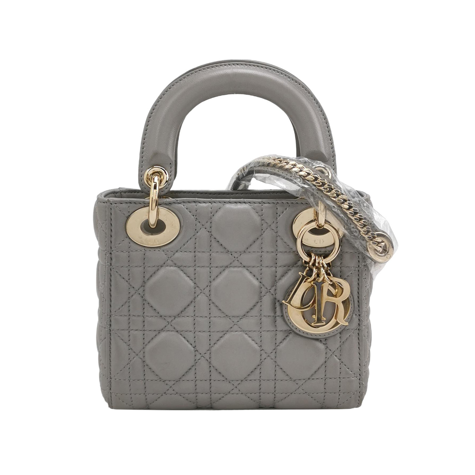 Lady Diorlogocrossbody Bag