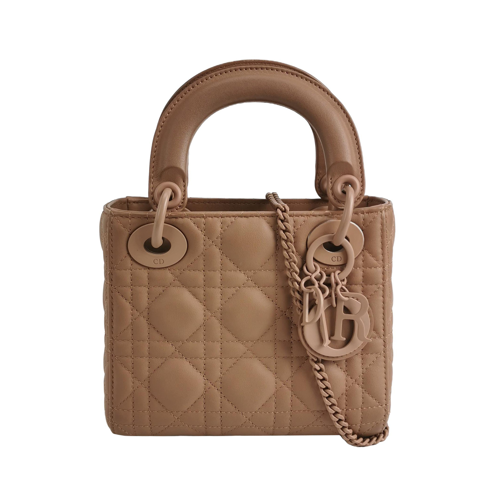 Lady Diorlogocrossbody Bag