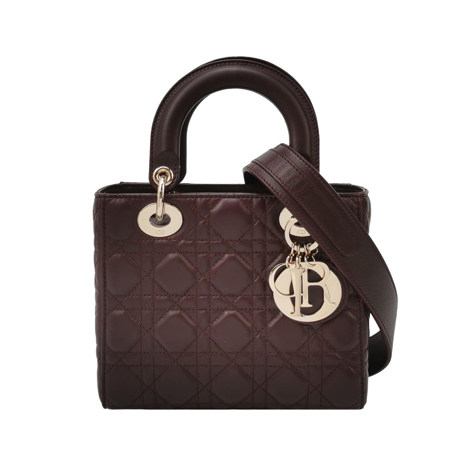 Lady Diorlogocrossbody Bag