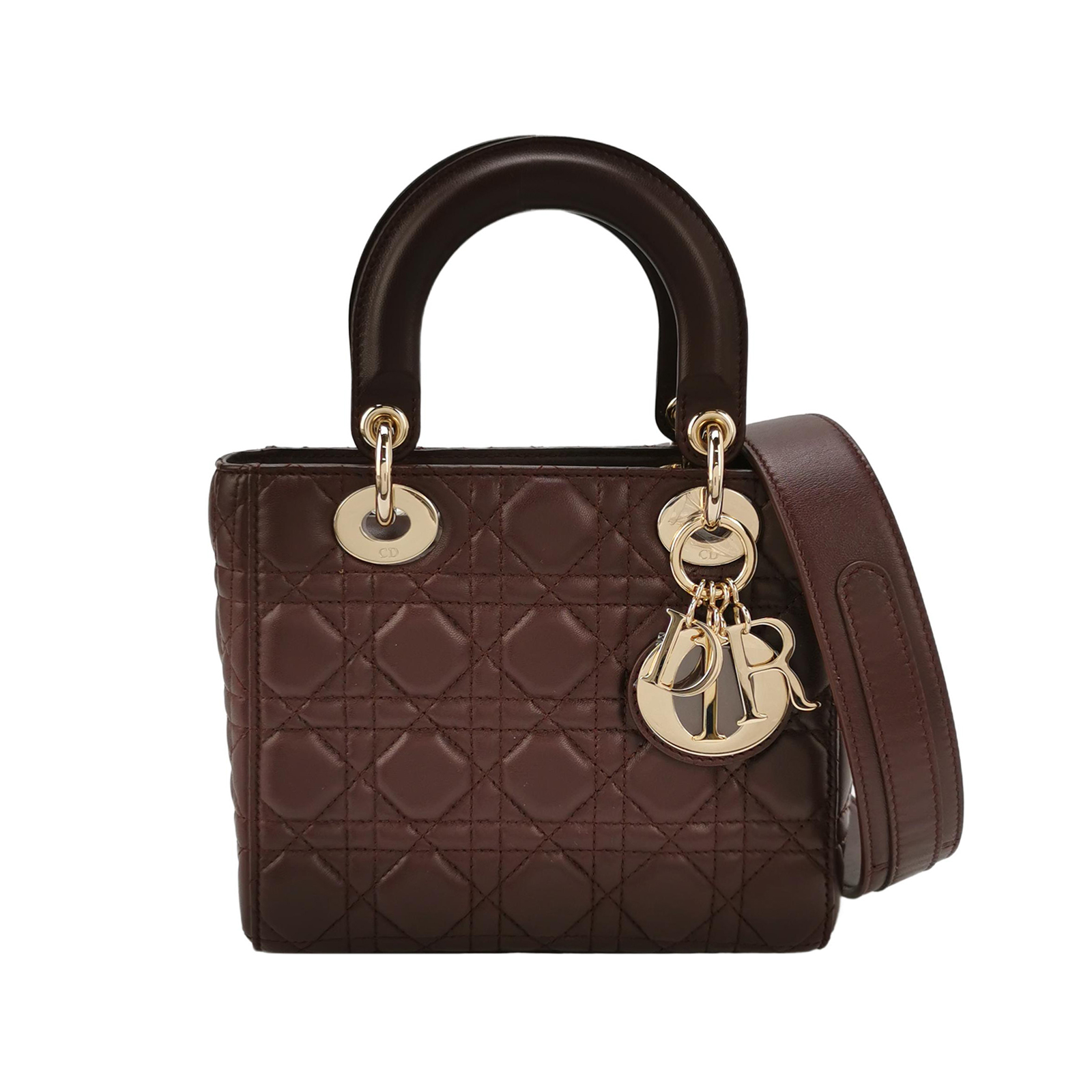 Lady Diorlogocrossbody Bag