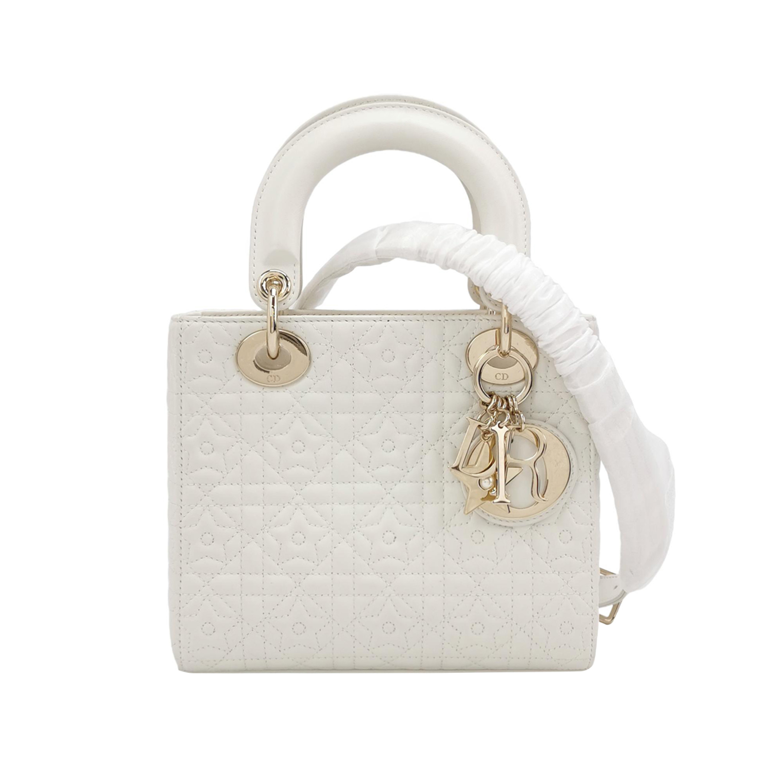 Lady Diorlogocrossbody Bag