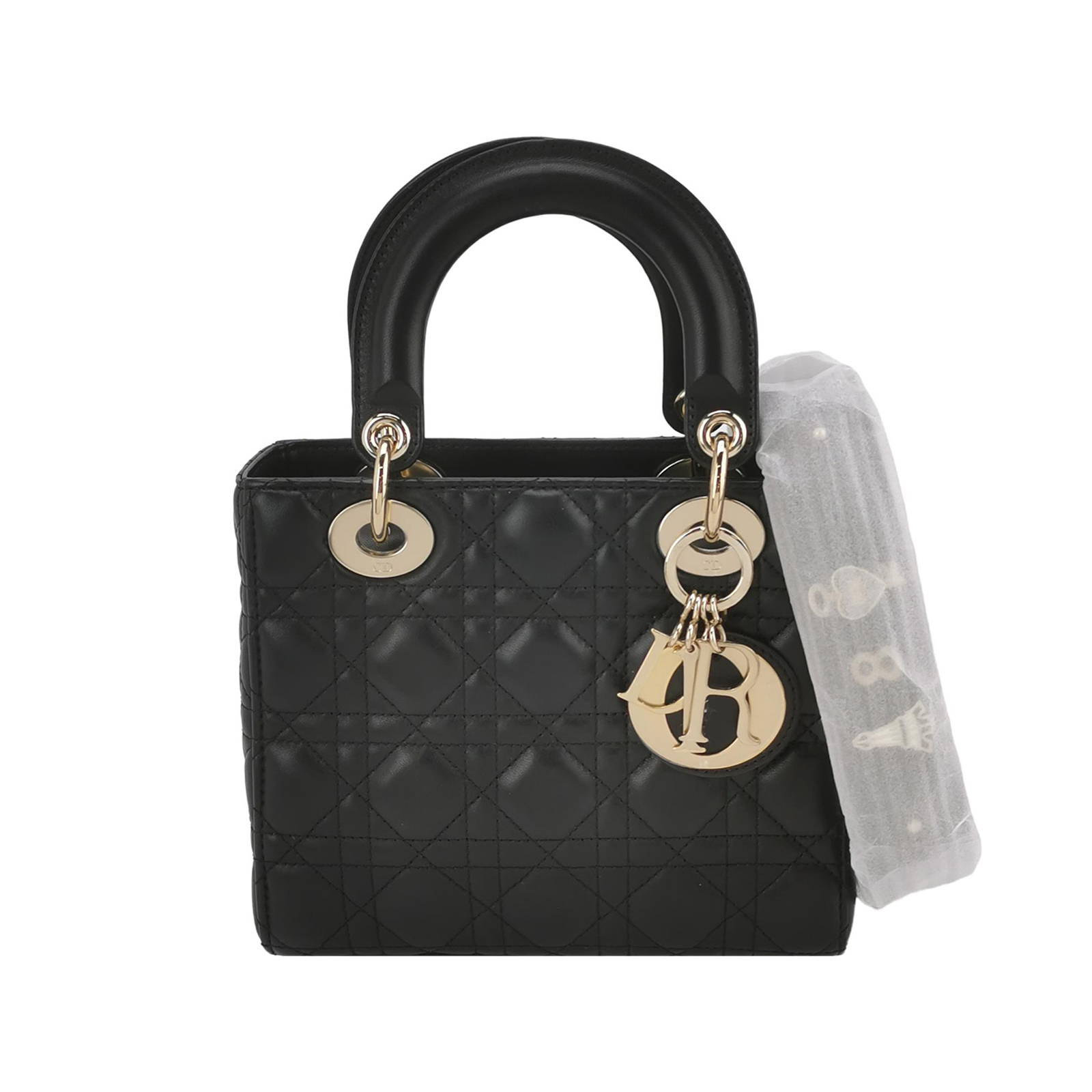 Lady Diorlogocrossbody Bag