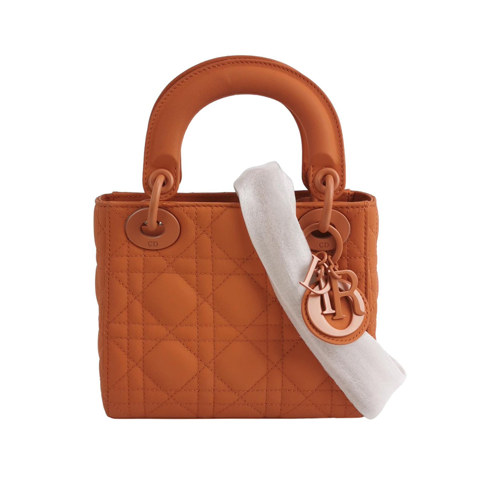 Lady Diorlogocrossbody Bag