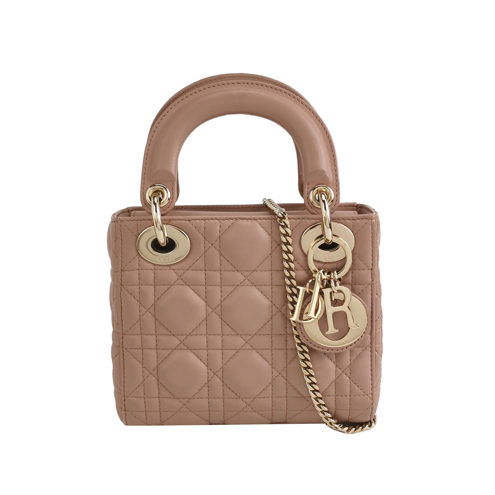 Lady Diorlogocrossbody Bag