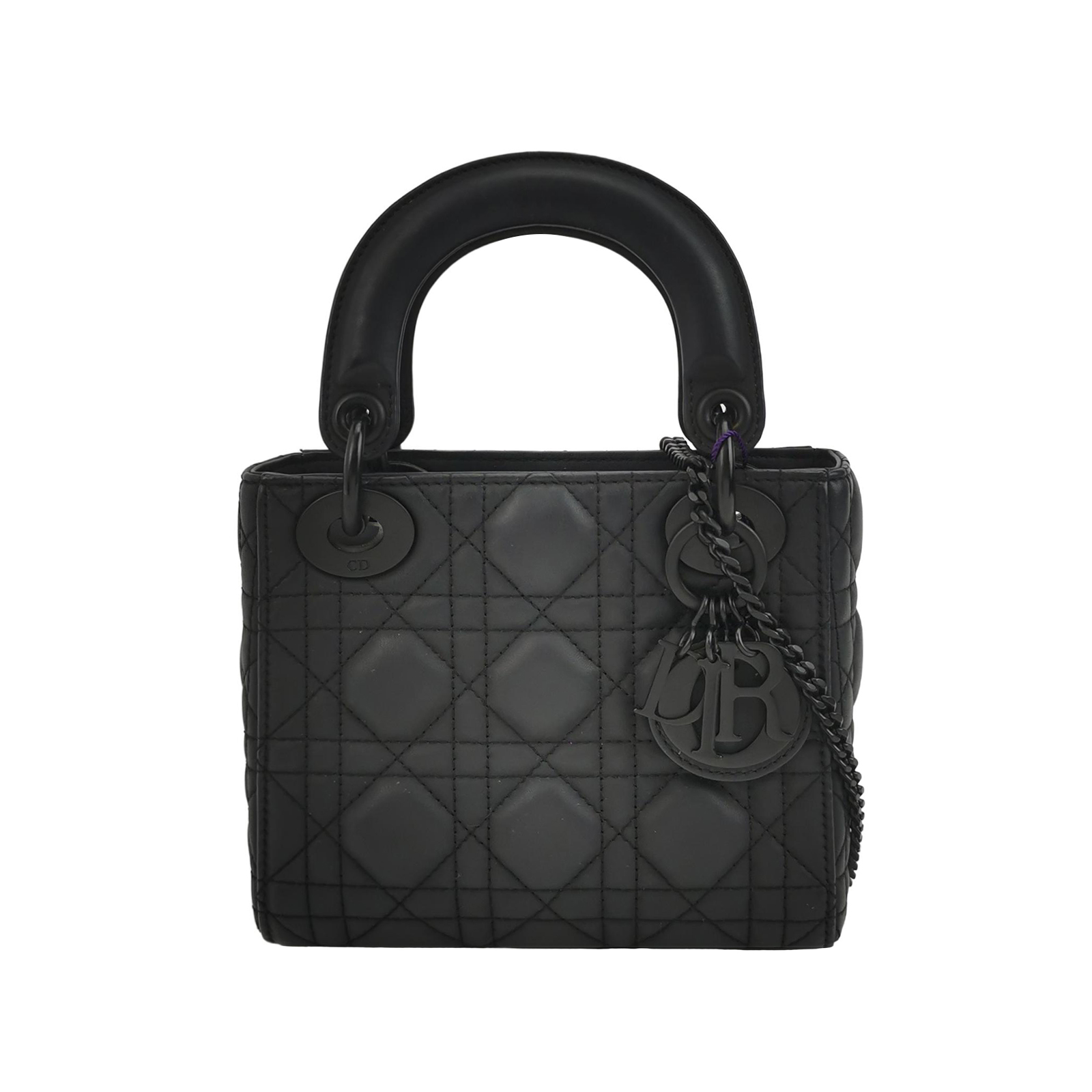 Lady Diorlogocrossbody Bag