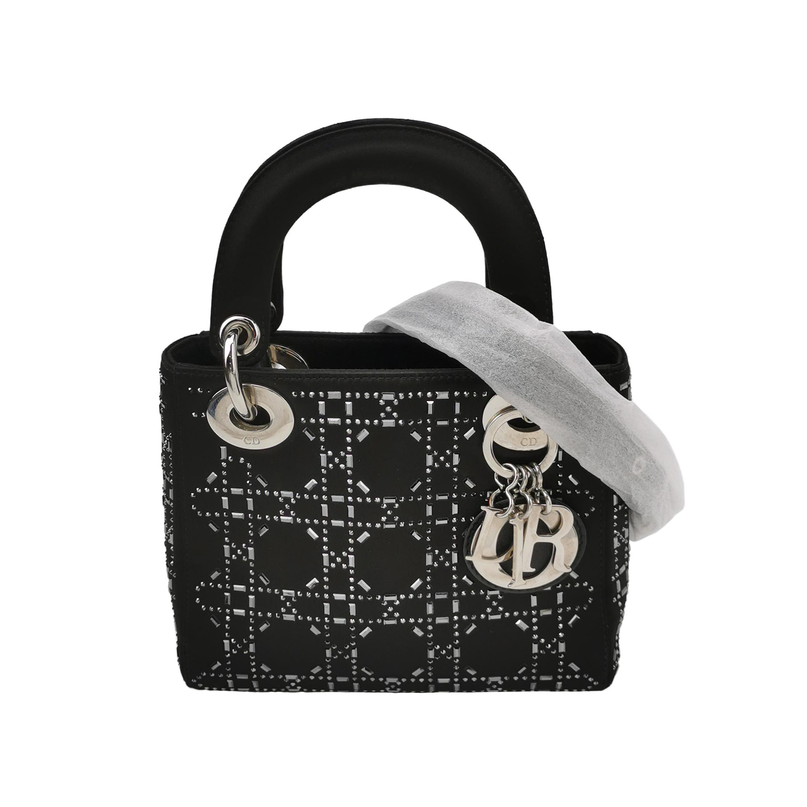Lady Diorlogocrossbody Bag