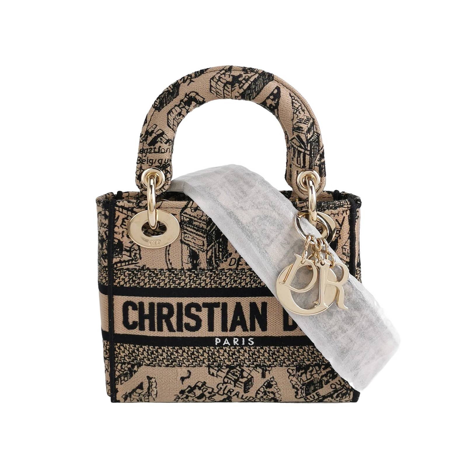 Lady Diorlogocrossbody Bag
