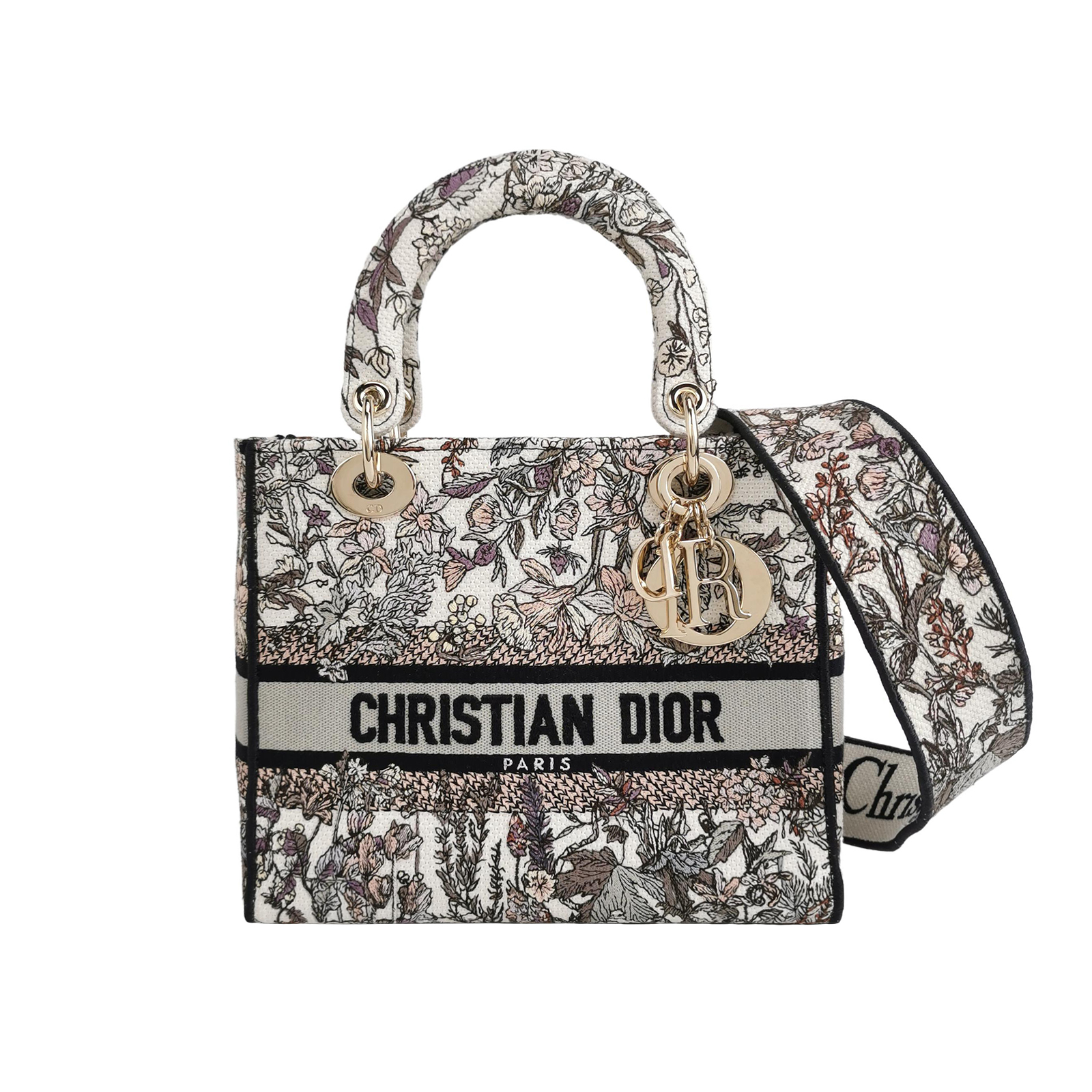 Lady Diorlogocrossbody Bag