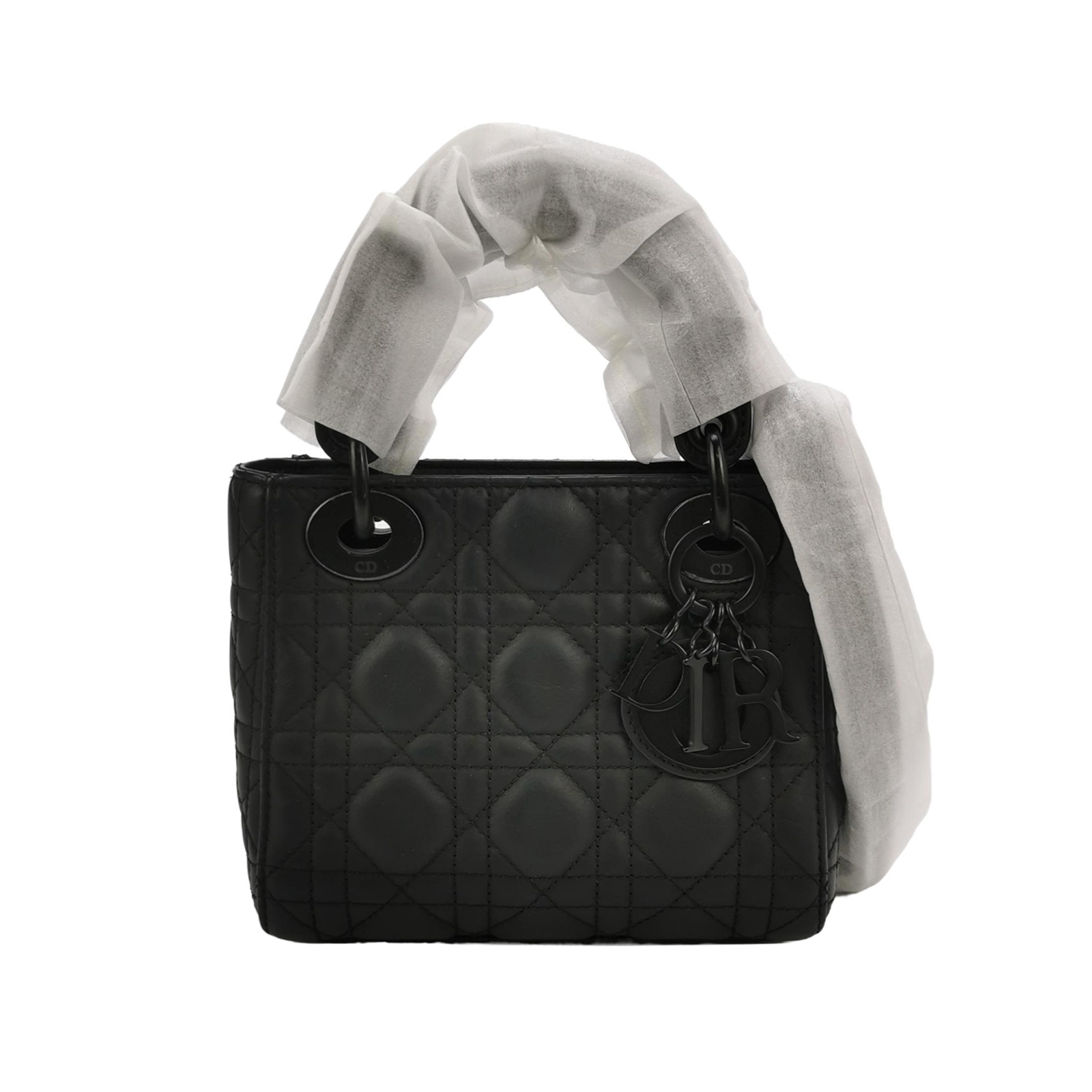 Lady Diorlogocrossbody Bag