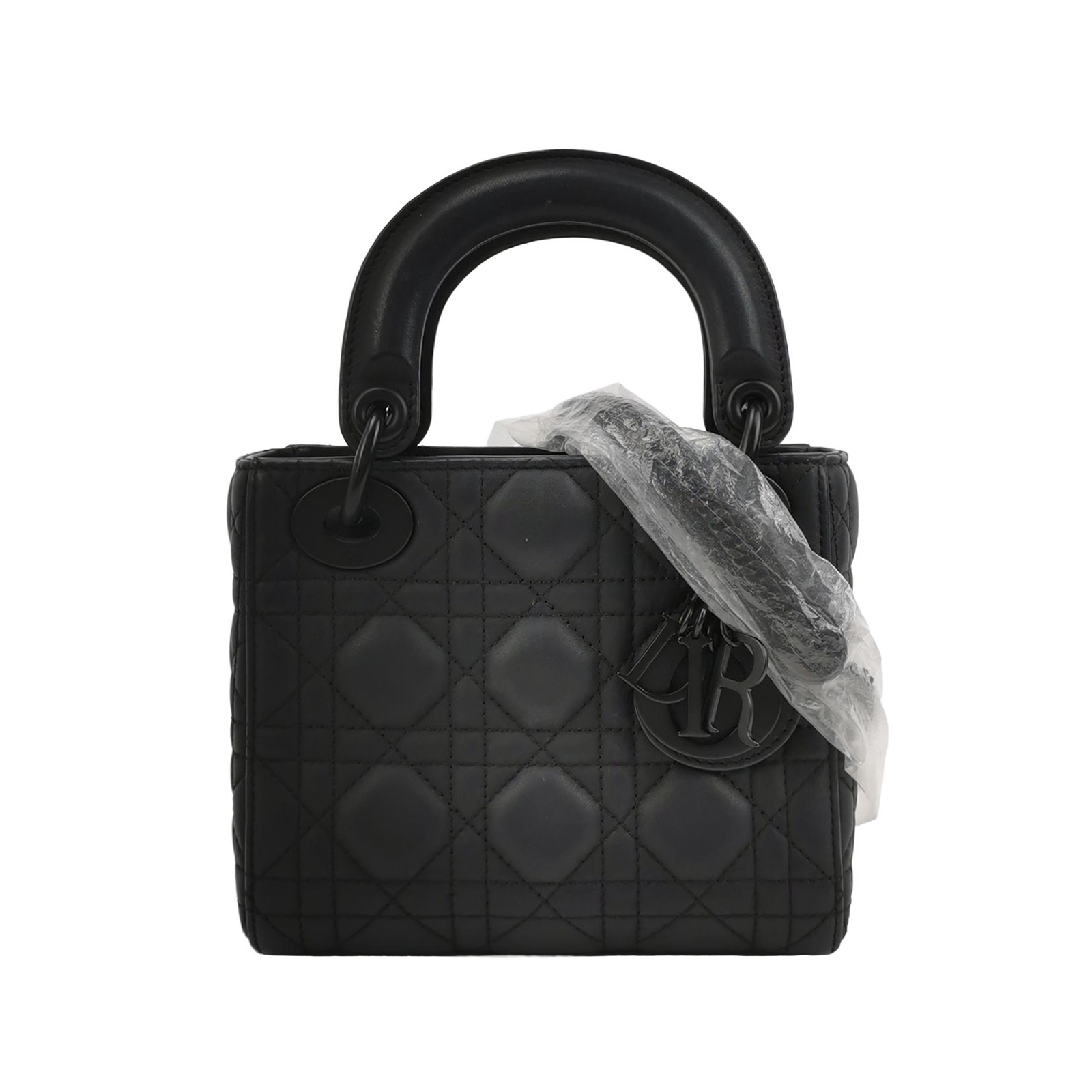 Lady Diorlogocrossbody Bag