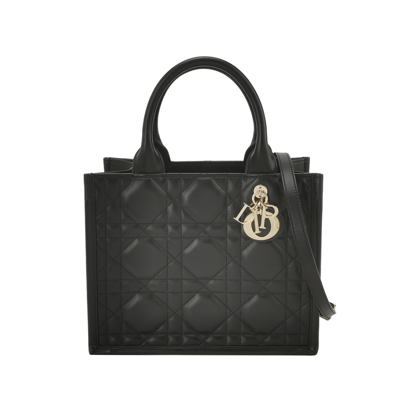 Lady Diorlogocrossbody Bag