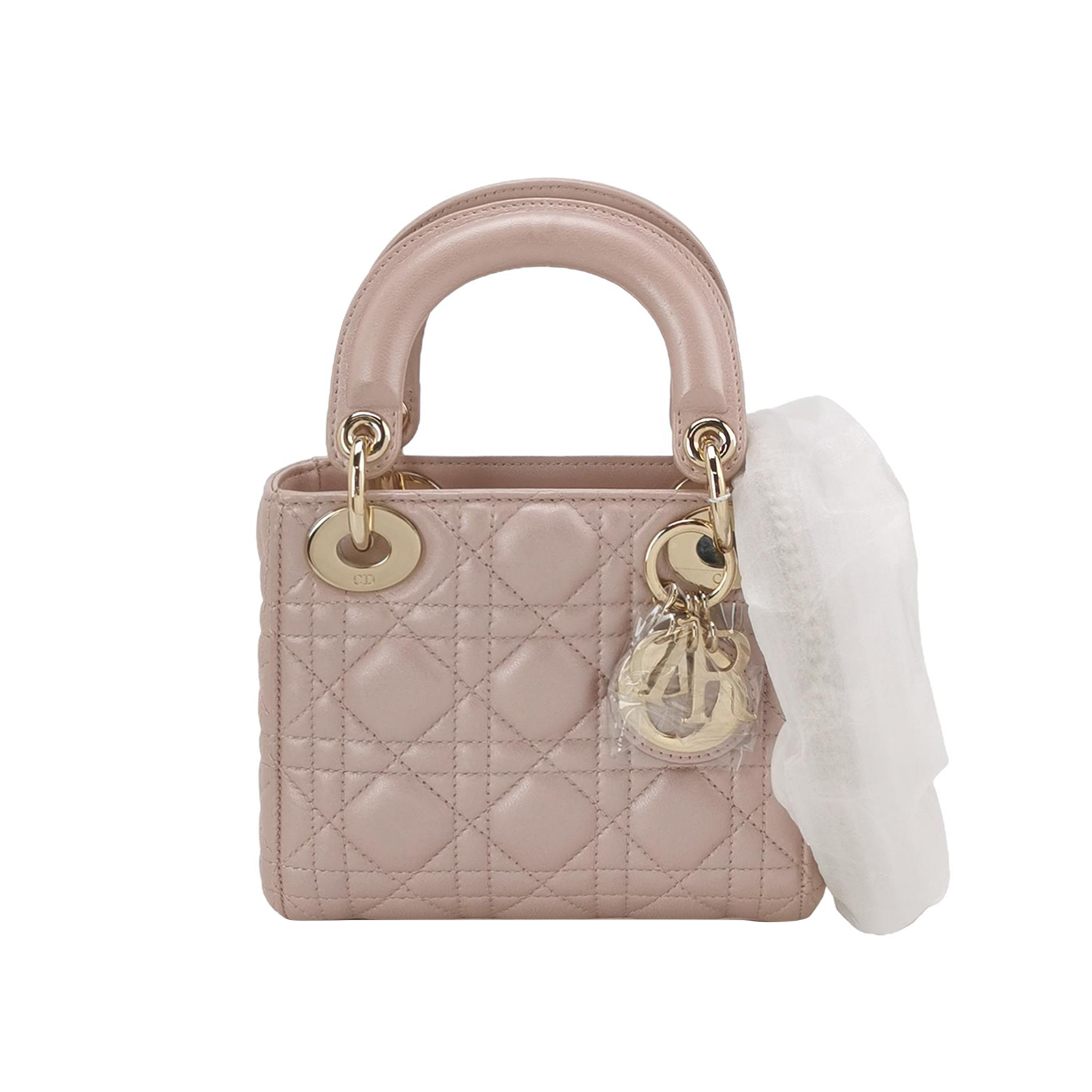 Lady Diorlogocrossbody Bag