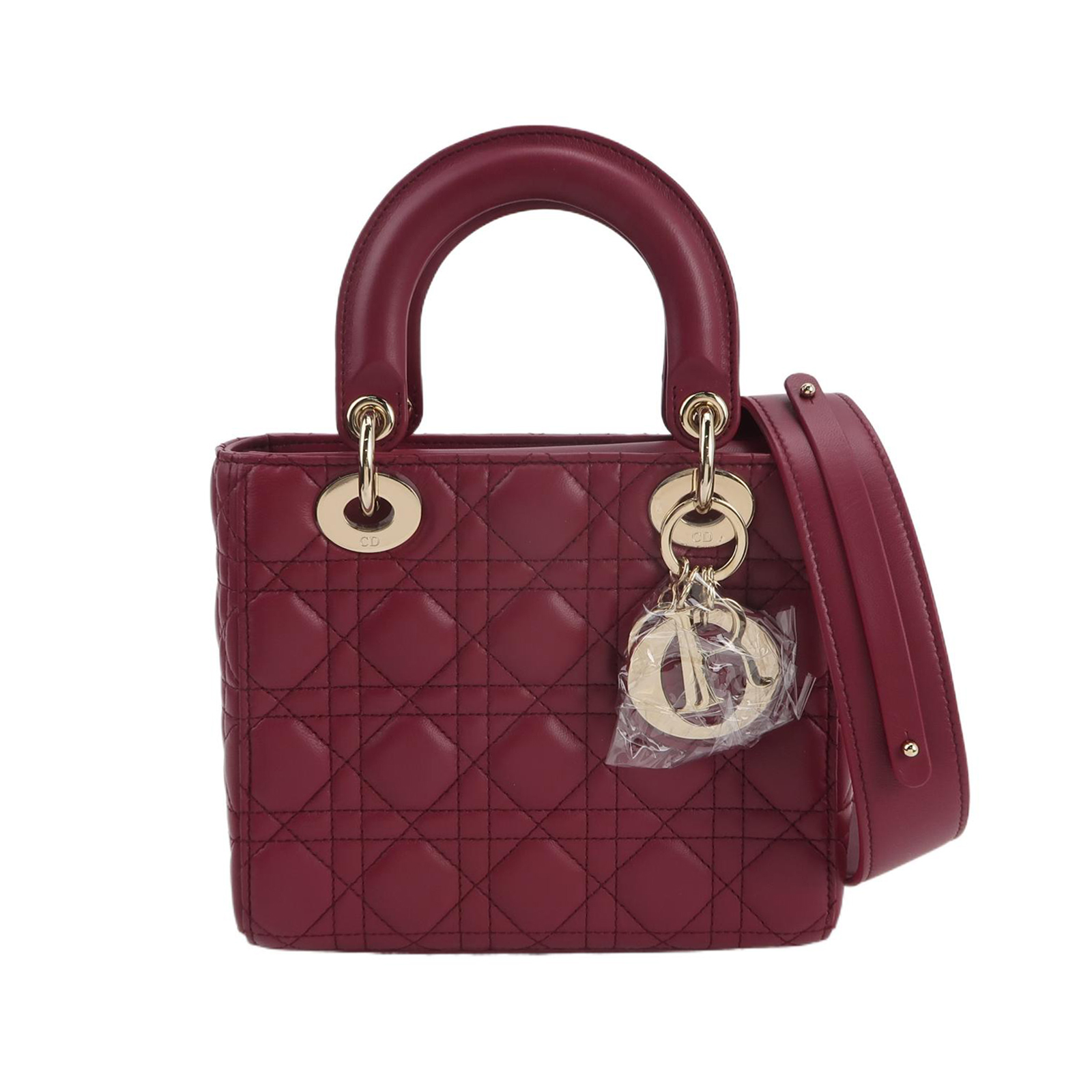 Lady Diorlogocrossbody Bag