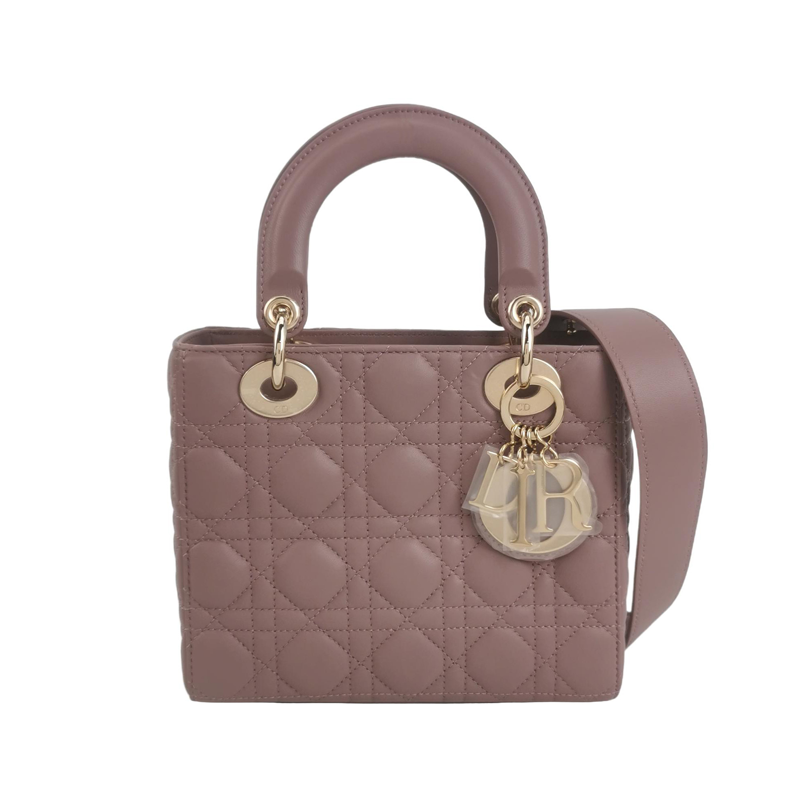 Lady Diorlogocrossbody Bag