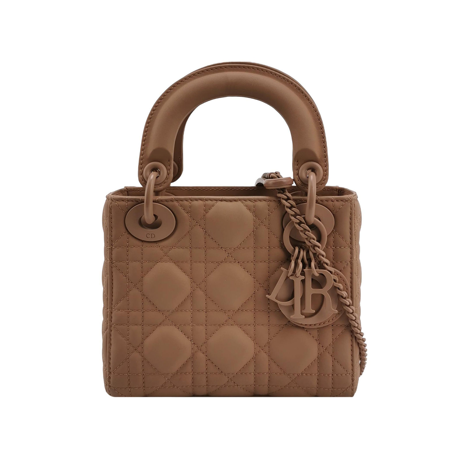 Lady Diorlogocrossbody Bag