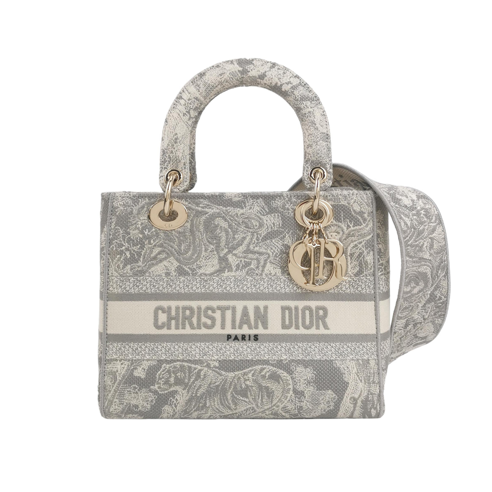 Lady Diorlogocrossbody Bag