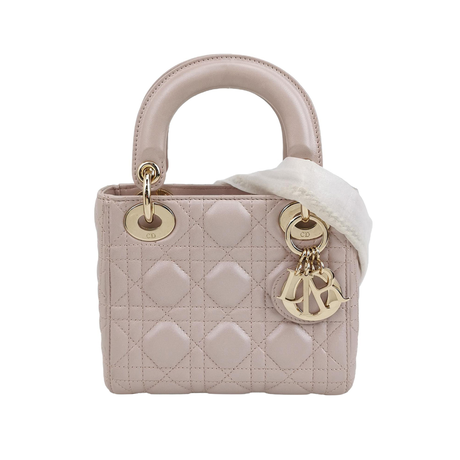 Lady Diorlogocrossbody Bag