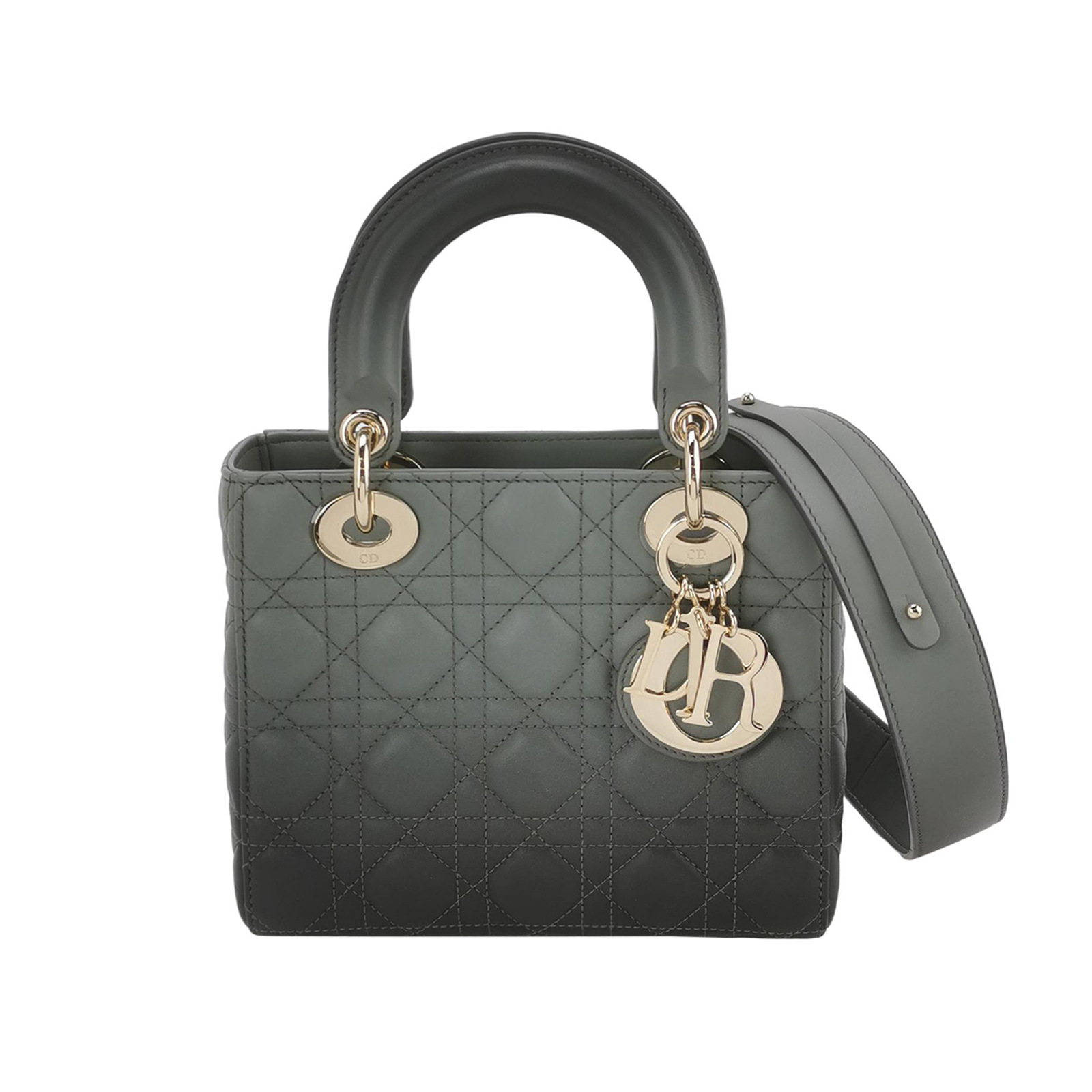 Lady Diorlogocrossbody Bag