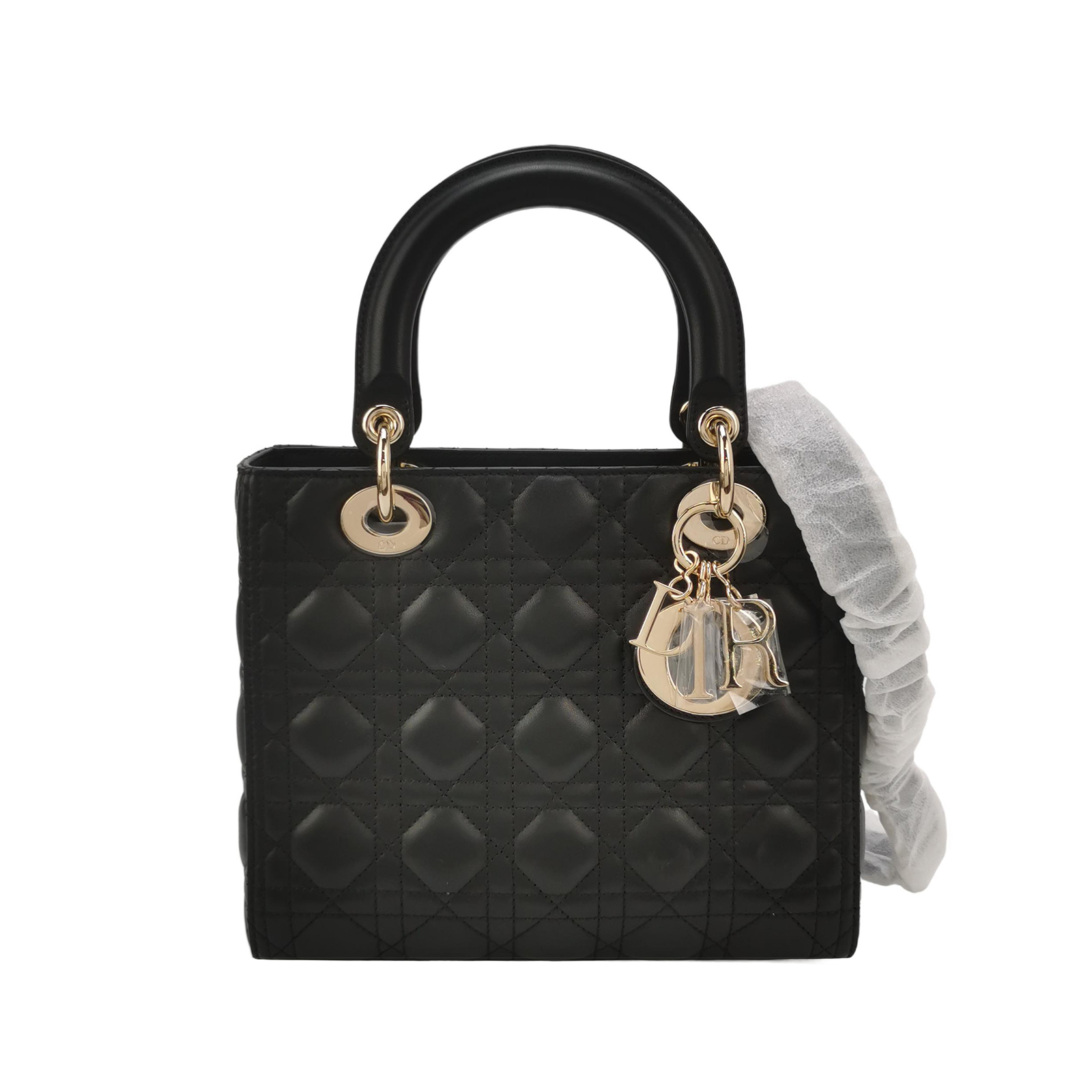 Lady Diorlogocrossbody Bag