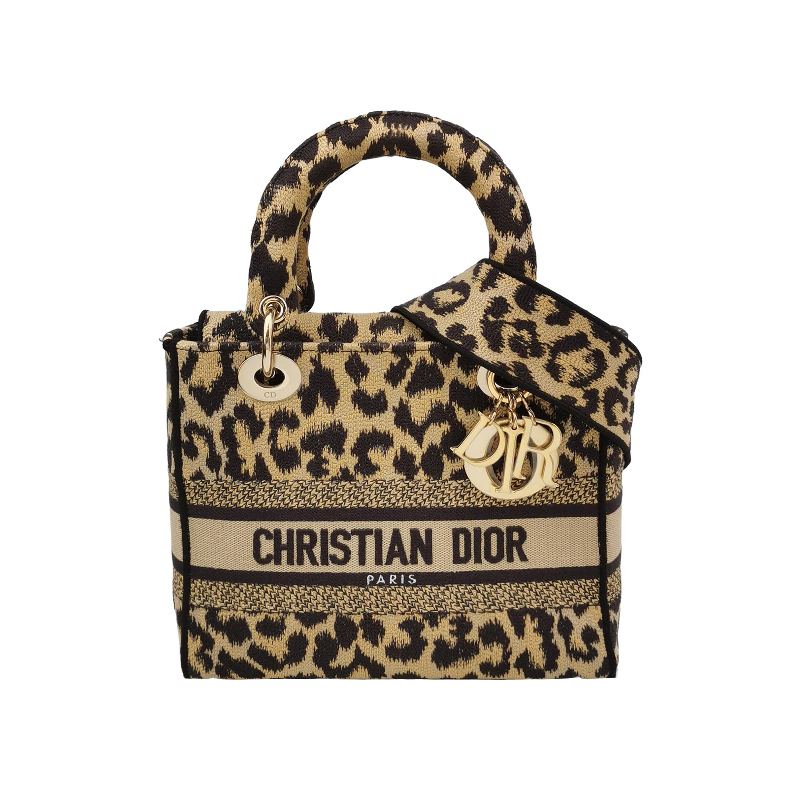 Lady Diorlogocrossbody Bag