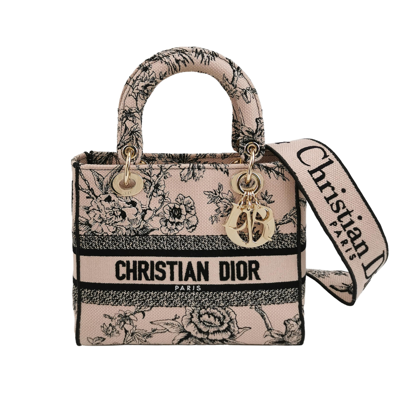 Lady Diorlogocrossbody Bag