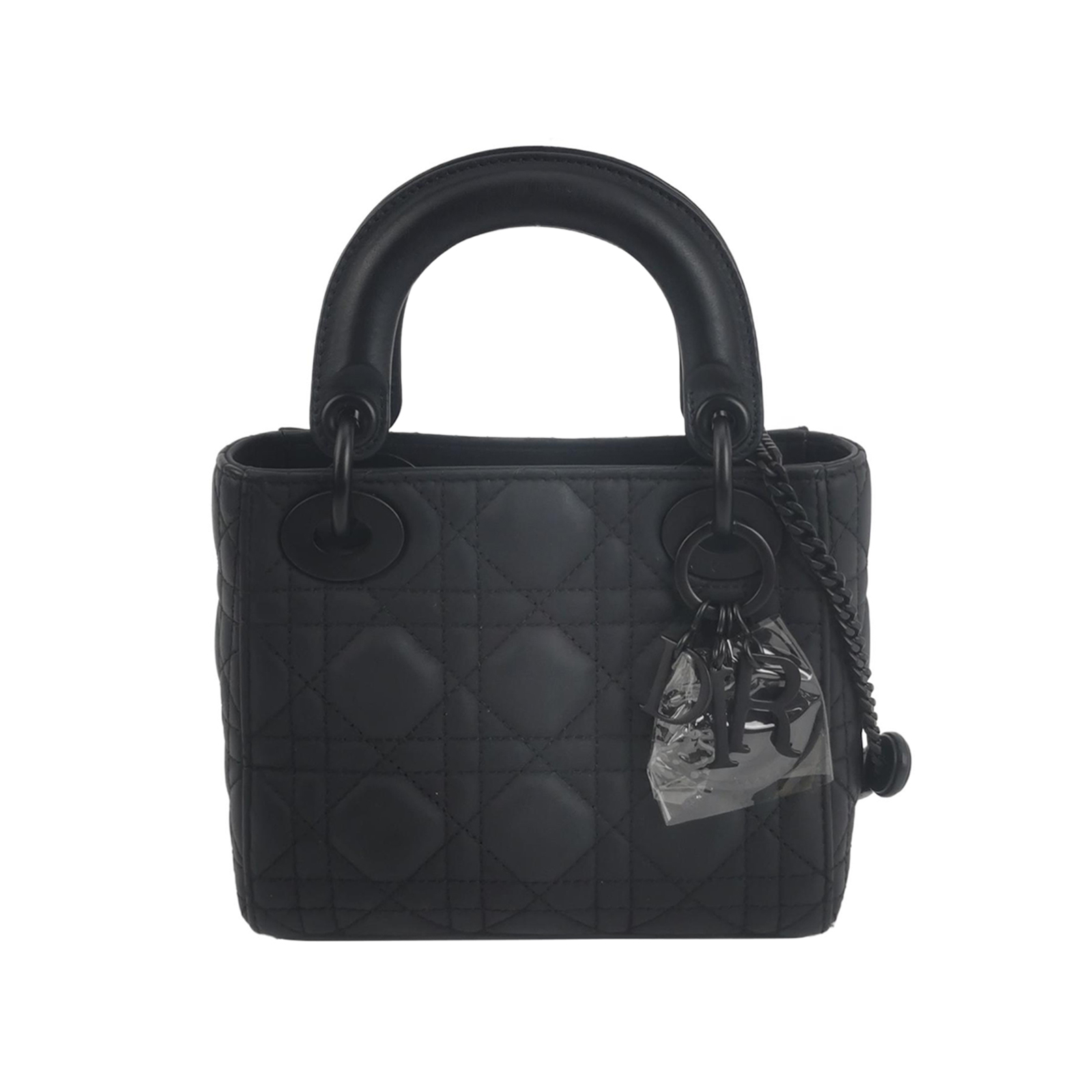 Lady Diorlogocrossbody Bag